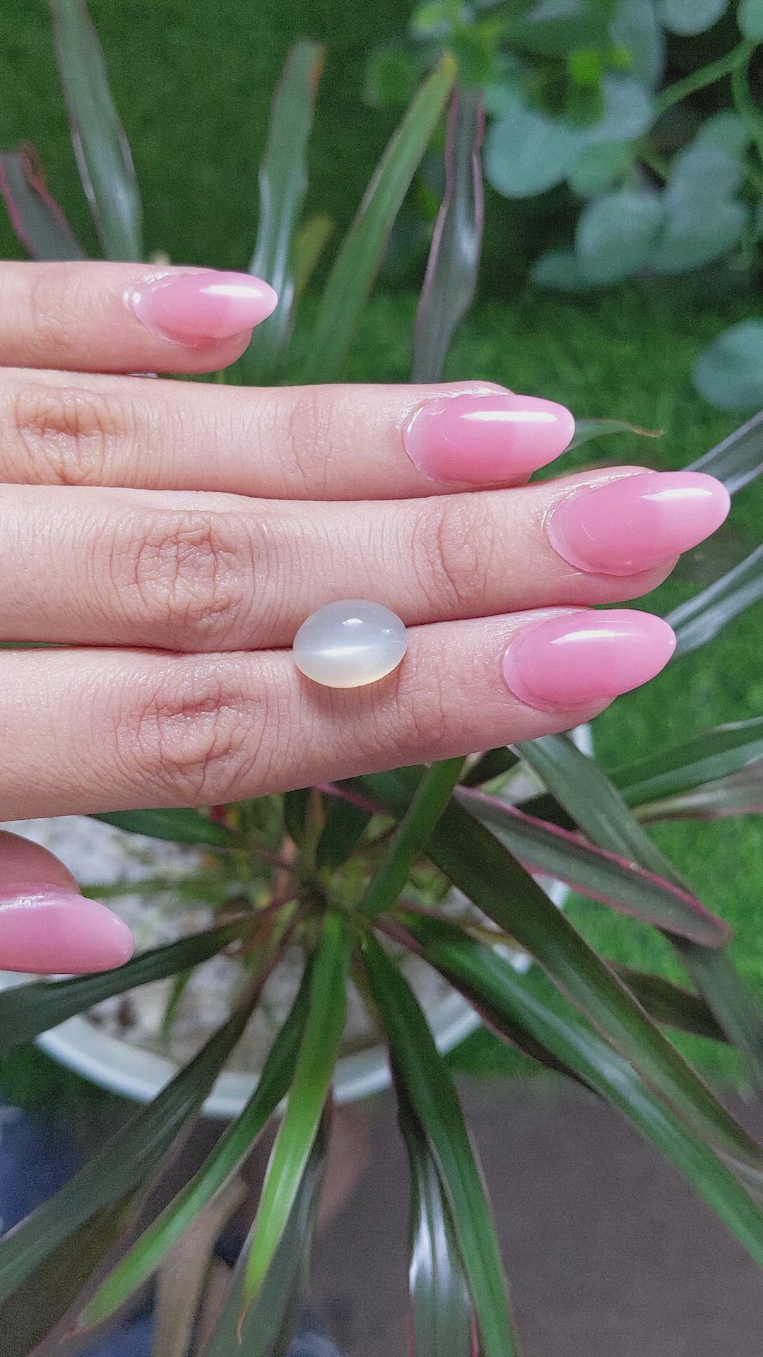 6.59 Ct. Cabochon Moonstone from Ceylon (Sri Lanka) Size Video