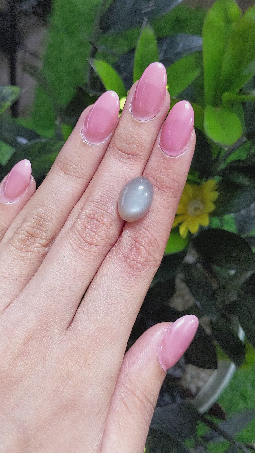 10.08 Ct. Cabochon Moonstone from Ceylon (Sri Lanka) Size Video