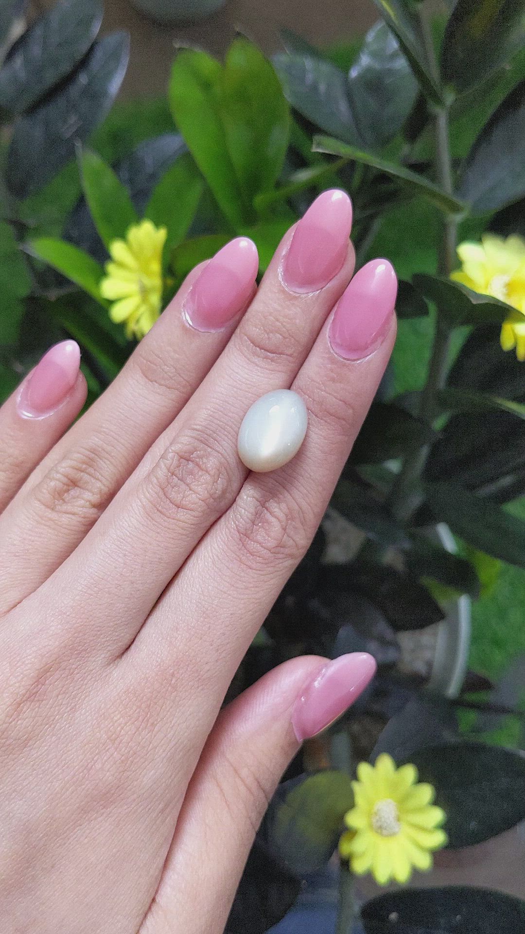 11.55 Ct. Cabochon Moonstone from Ceylon (Sri Lanka) Size Video