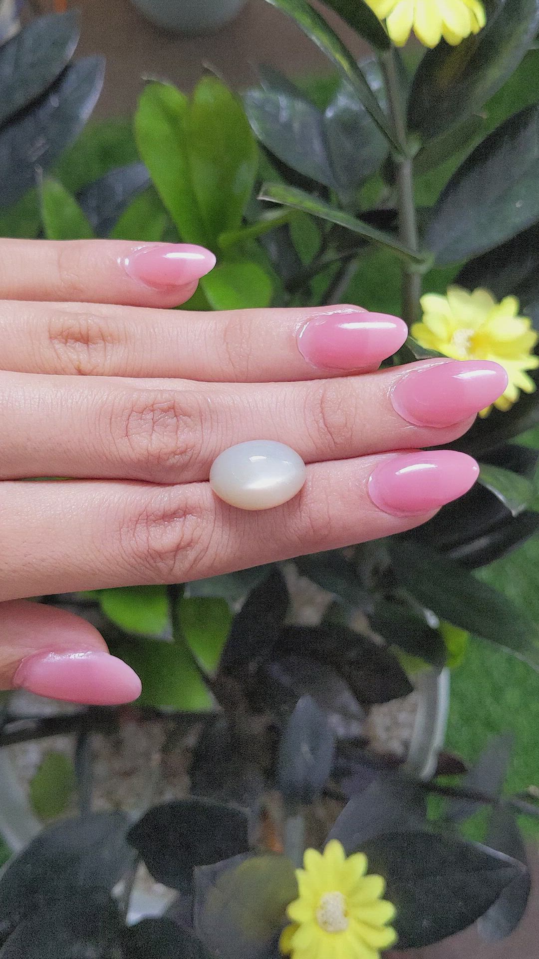 11.55 Ct. Cabochon Moonstone from Ceylon (Sri Lanka) Size Video
