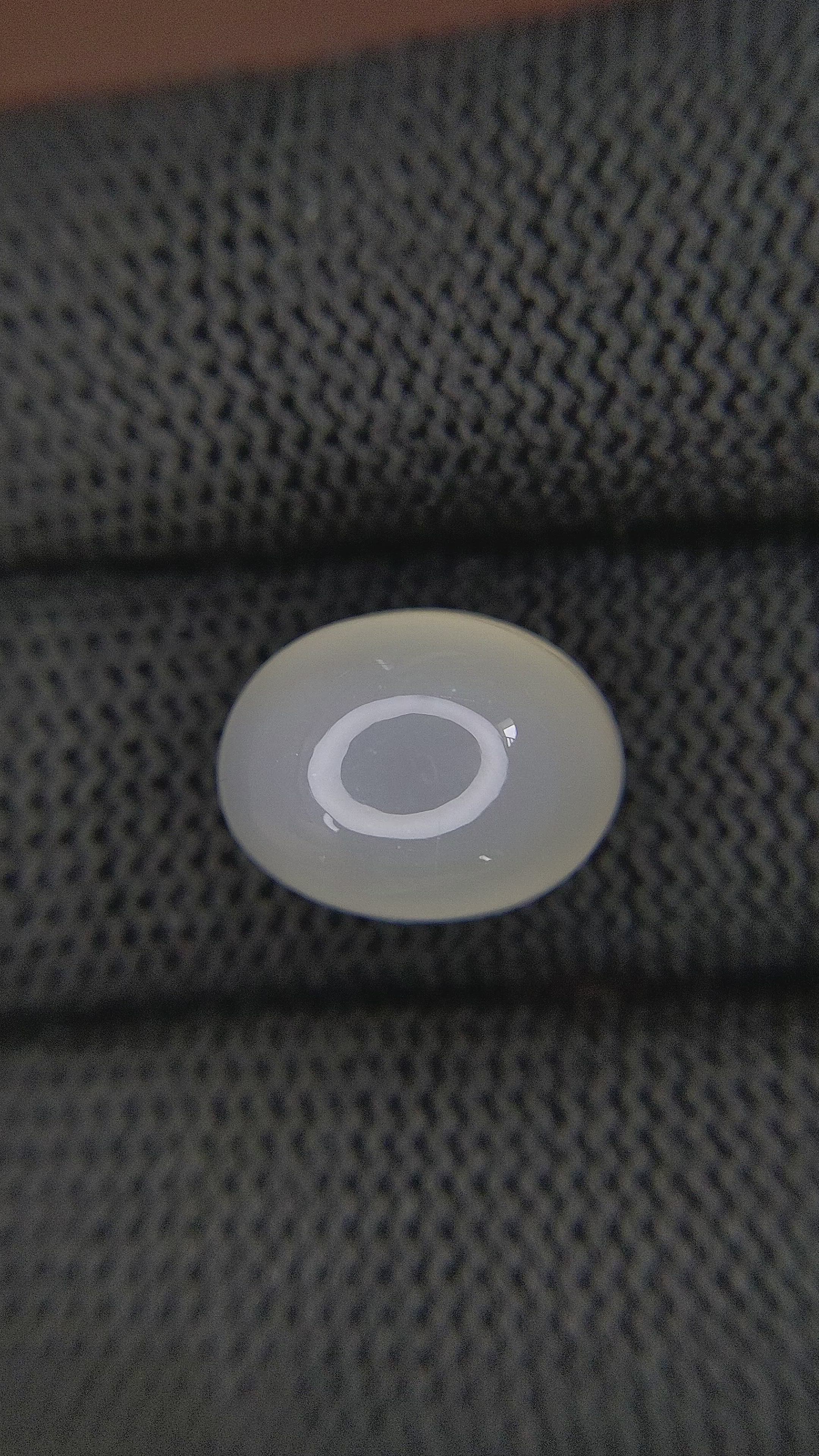 11.18 Ct. Cabochon Moonstone from Ceylon (Sri Lanka) Size Video