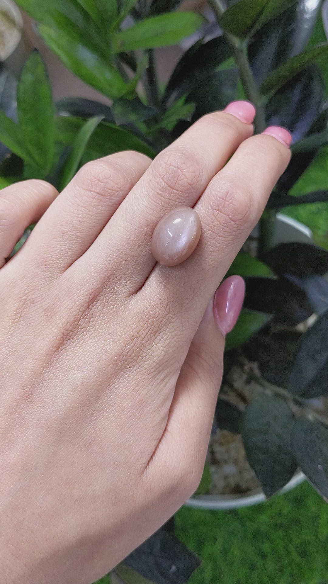 17.71 Ct. Cabochon Moonstone from Ceylon (Sri Lanka) Size Video