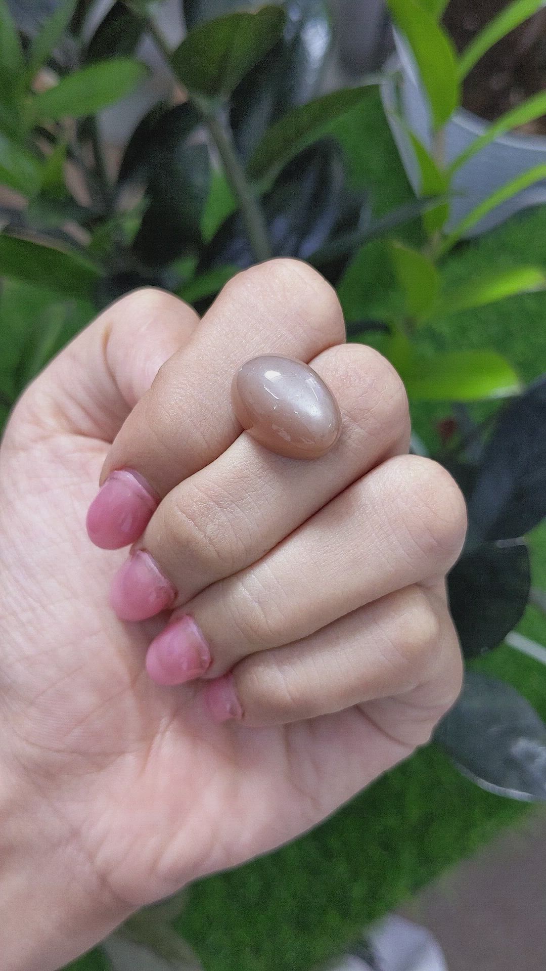 17.71 Ct. Cabochon Moonstone from Ceylon (Sri Lanka) Size Video