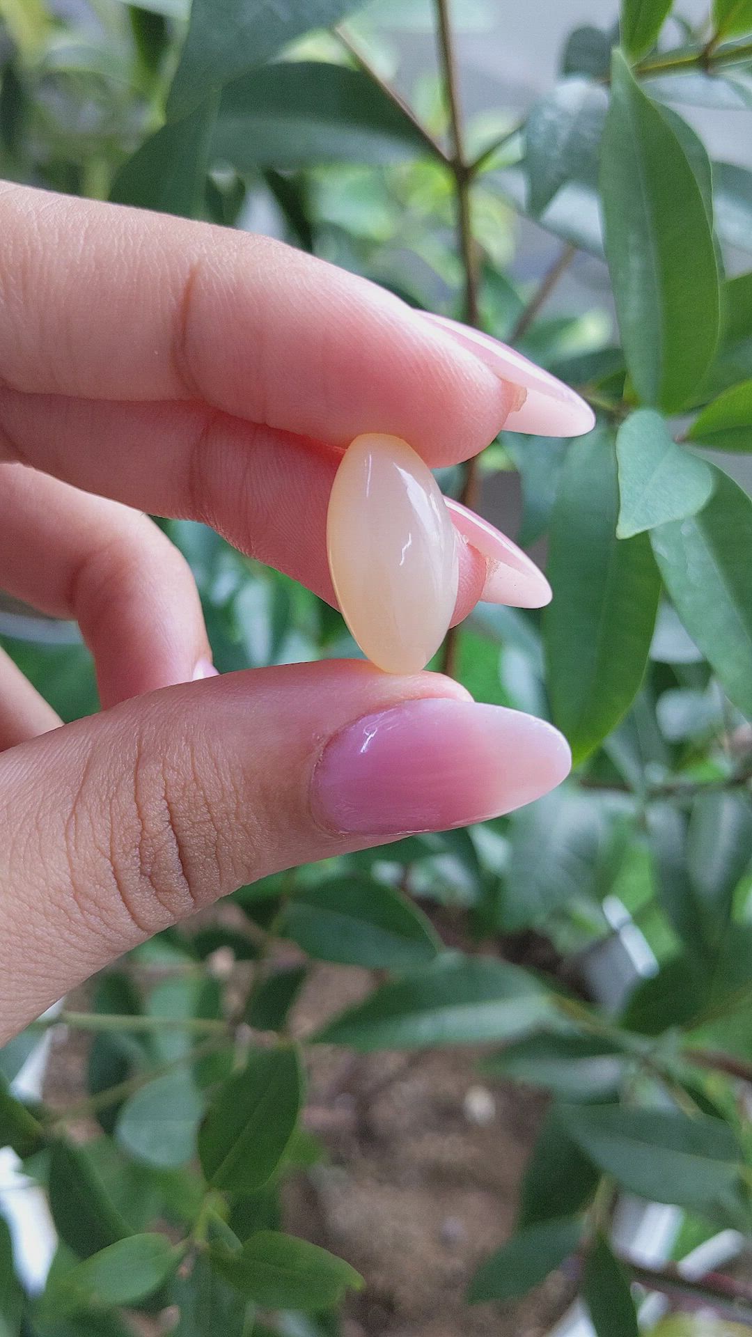 9.97 Ct. Cabochon Moonstone from Ceylon (Sri Lanka) Size Video