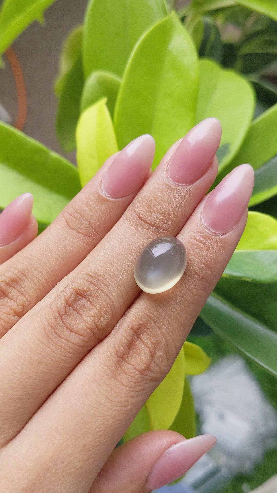 12.70 Ct. Cabochon Moonstone from Ceylon (Sri Lanka) Size Video