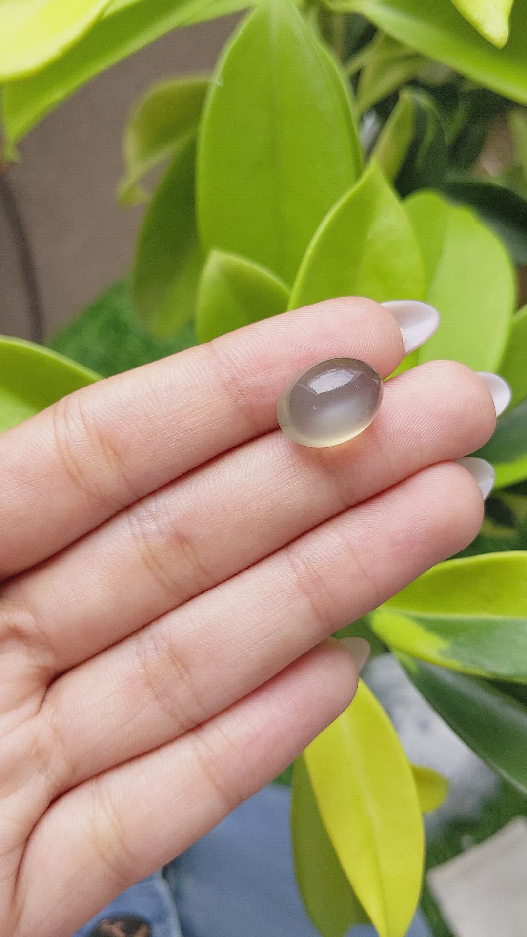 12.70 Ct. Cabochon Moonstone from Ceylon (Sri Lanka) Size Video