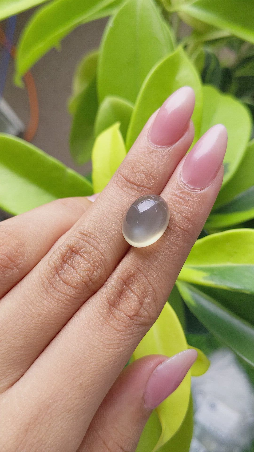 12.70 Ct. Cabochon Moonstone from Ceylon (Sri Lanka) Size Video