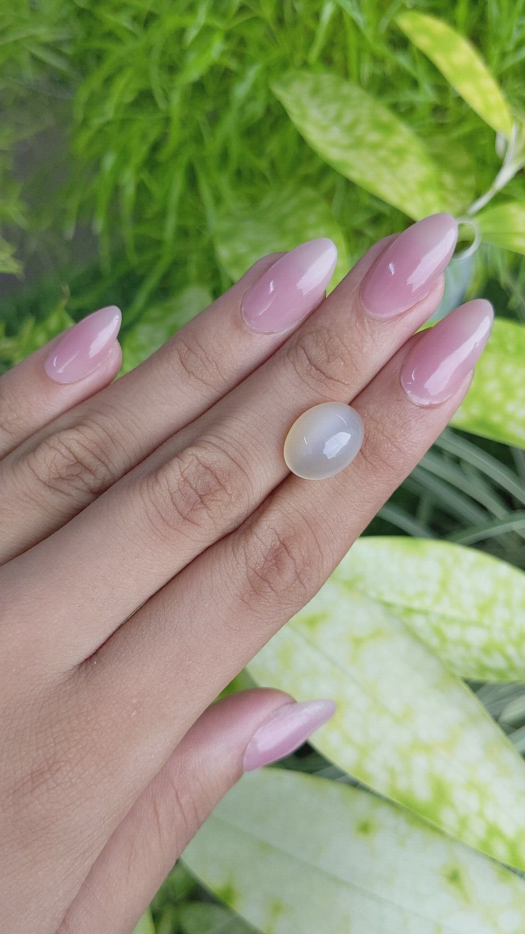 7.51 Ct. Cabochon Moonstone from Ceylon (Sri Lanka) Size Video