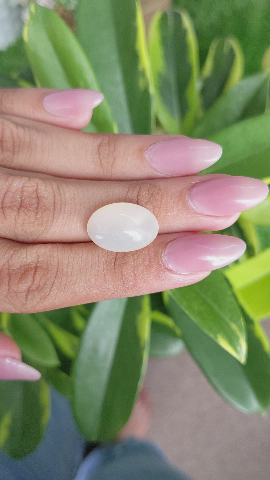 11.47 Ct. Cabochon Moonstone from Ceylon (Sri Lanka) Size Video