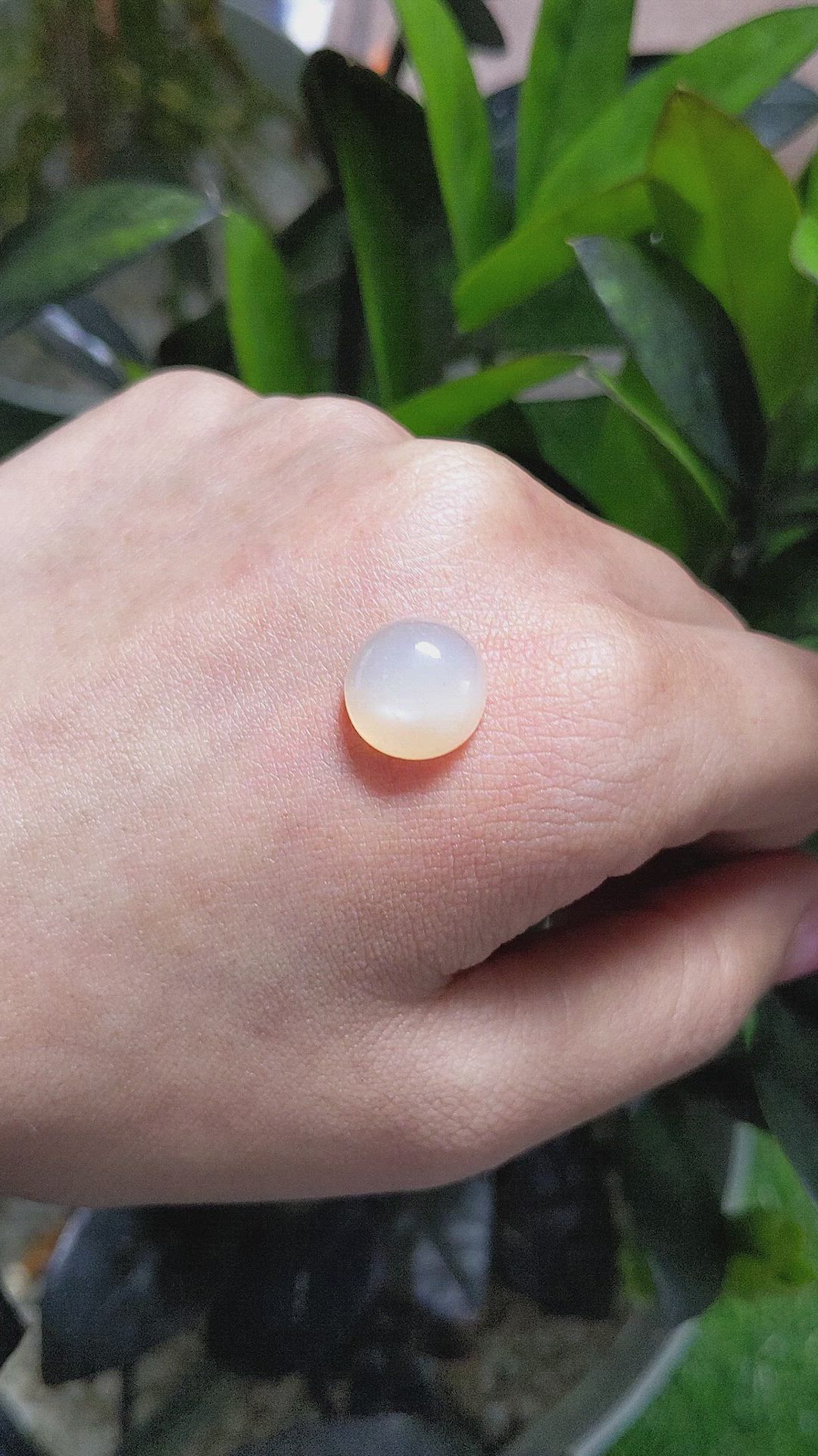 7.15 Ct. Cabochon Moonstone from Ceylon (Sri Lanka) Size Video