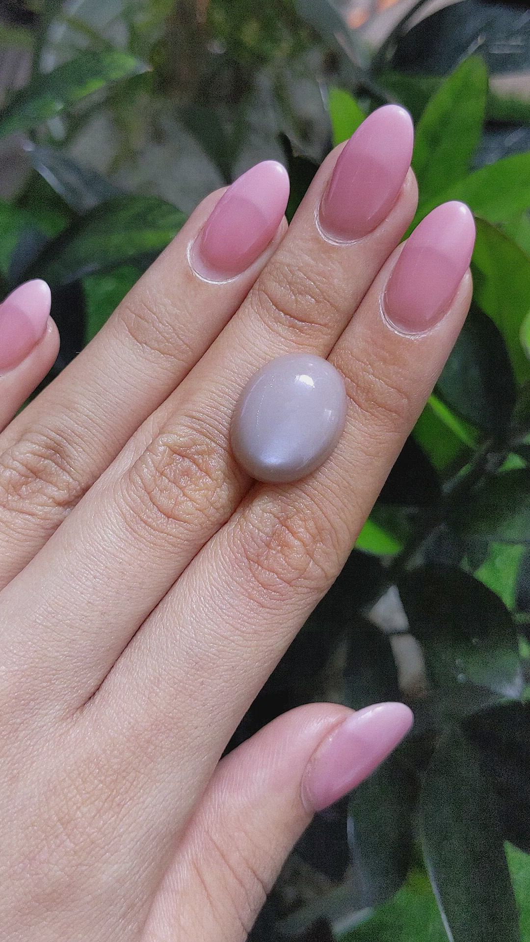 13.45 Ct. Cabochon Moonstone from Ceylon (Sri Lanka) Size Video