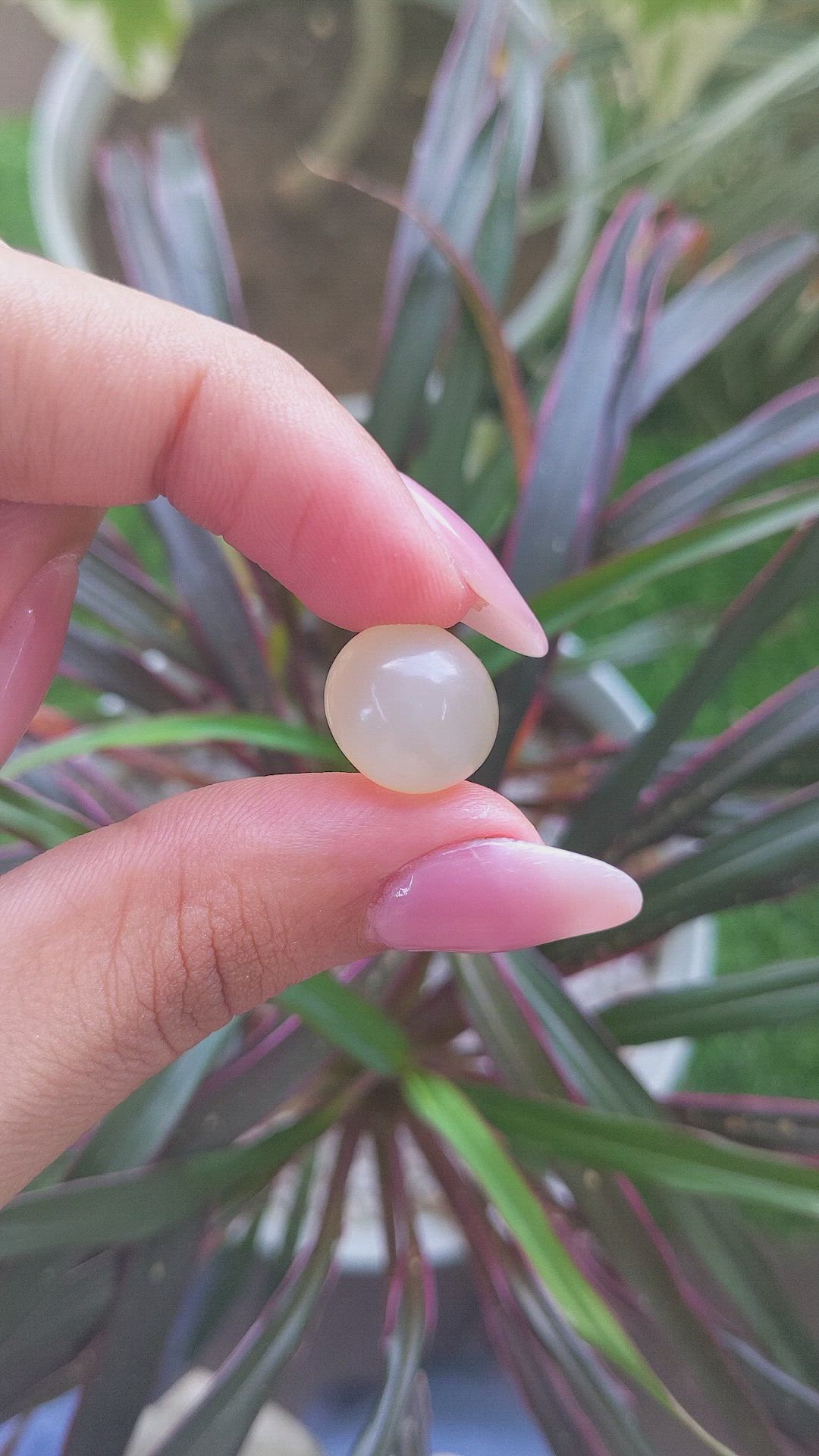 11.77 Ct. Cabochon Moonstone from Ceylon (Sri Lanka) Size Video