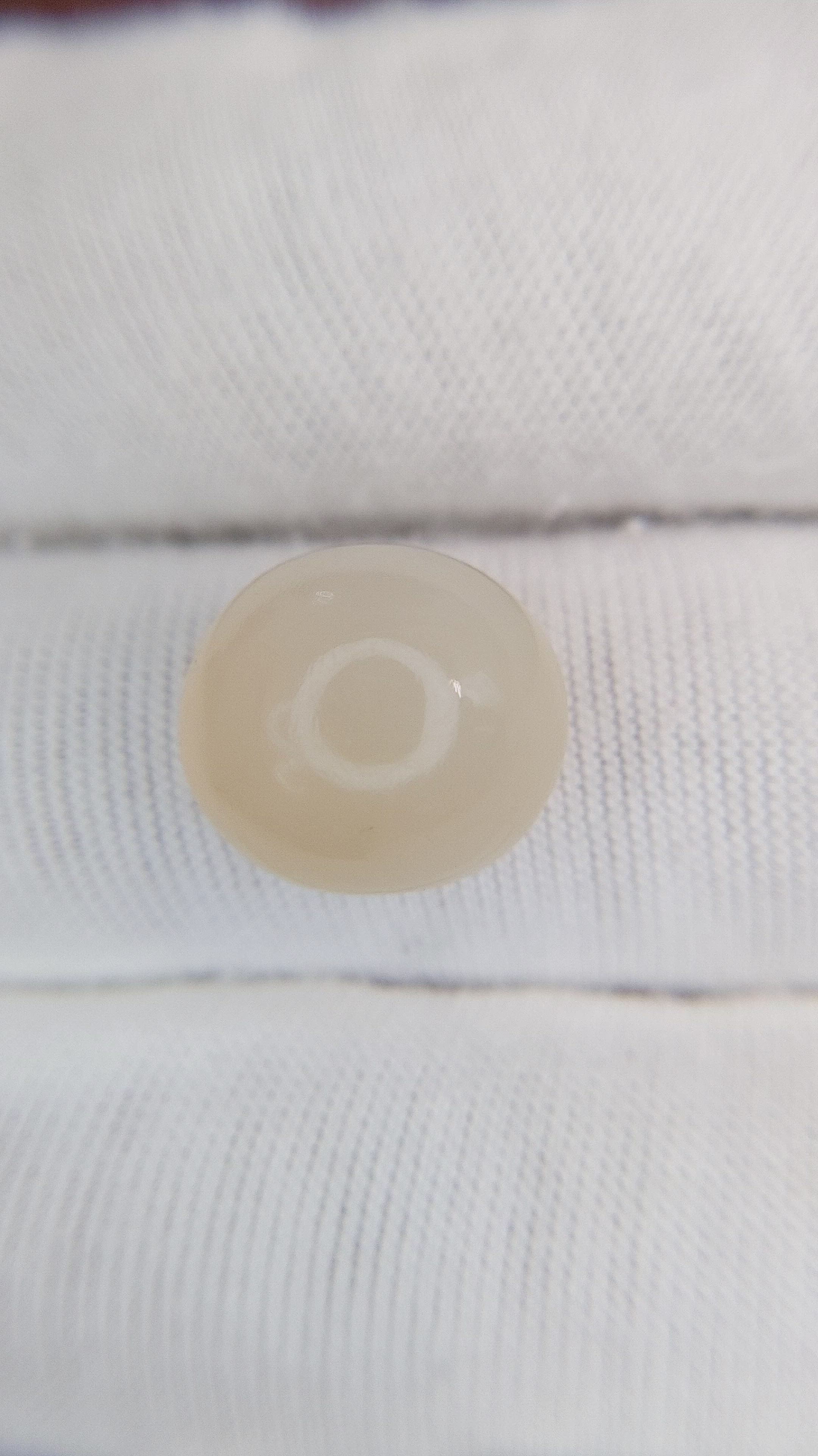 11.77 Ct. Cabochon Moonstone from Ceylon (Sri Lanka) Size Video