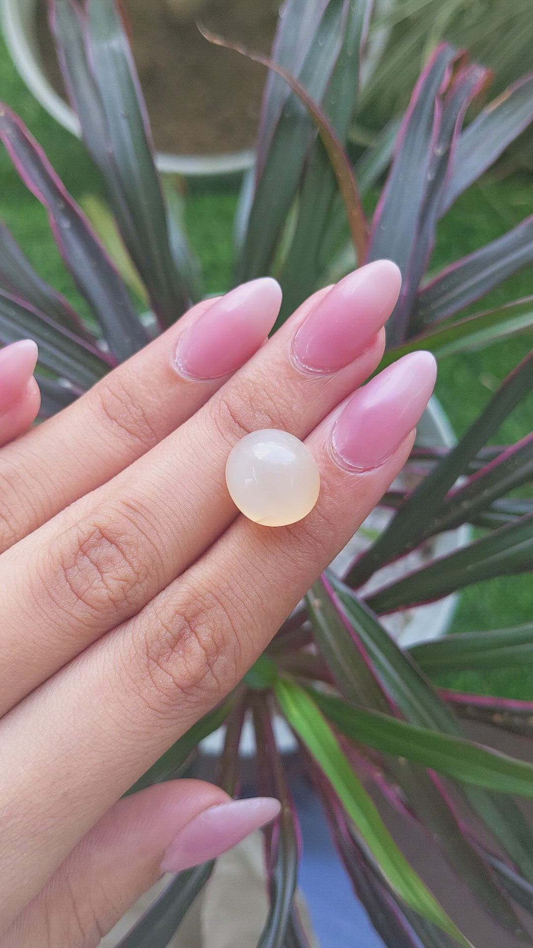 11.77 Ct. Cabochon Moonstone from Ceylon (Sri Lanka) Size Video