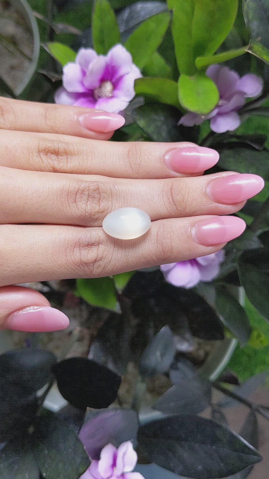 11.44 Ct. Cabochon Moonstone from Ceylon (Sri Lanka) Size Video