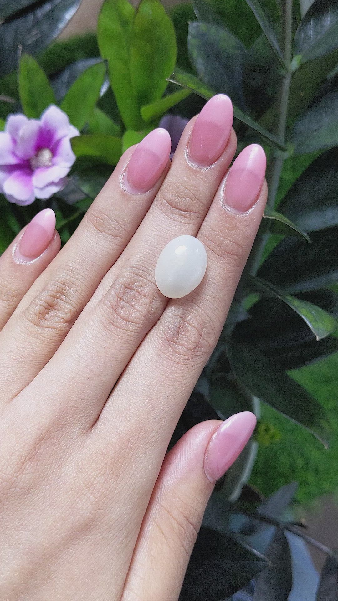 10.51 Ct. Cabochon Moonstone from Ceylon (Sri Lanka) Size Video