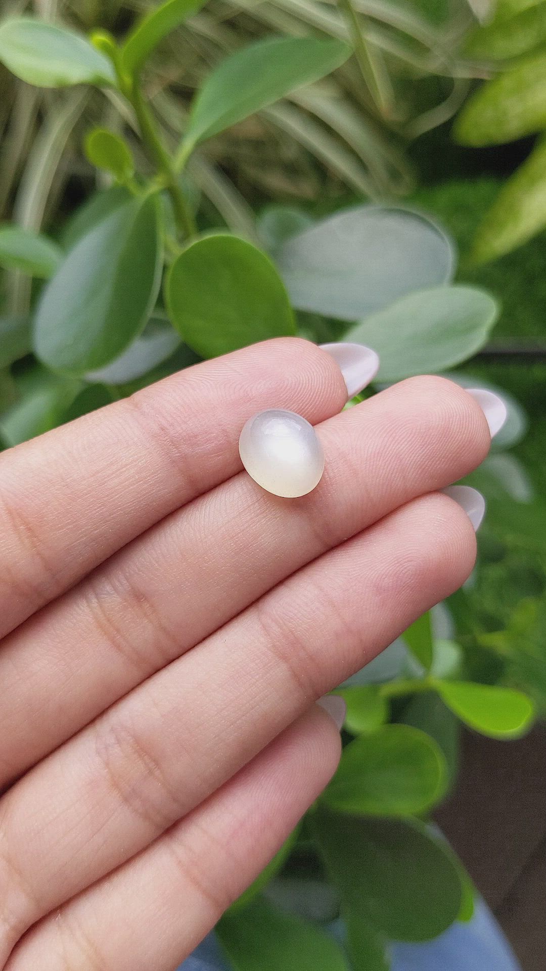 5.66 Ct. Cabochon Moonstone from Ceylon (Sri Lanka) Size Video