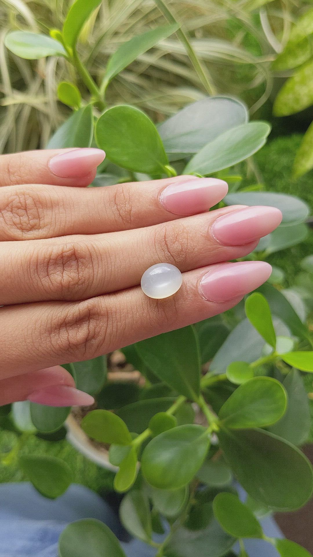 5.66 Ct. Cabochon Moonstone from Ceylon (Sri Lanka) Size Video