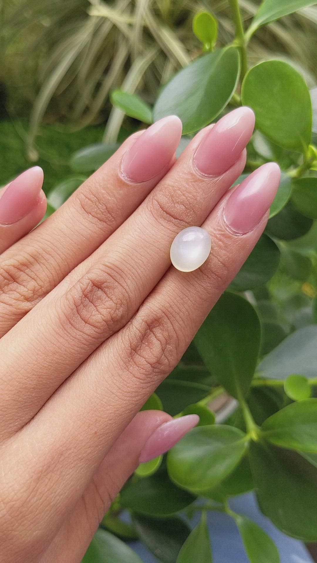 5.66 Ct. Cabochon Moonstone from Ceylon (Sri Lanka) Size Video