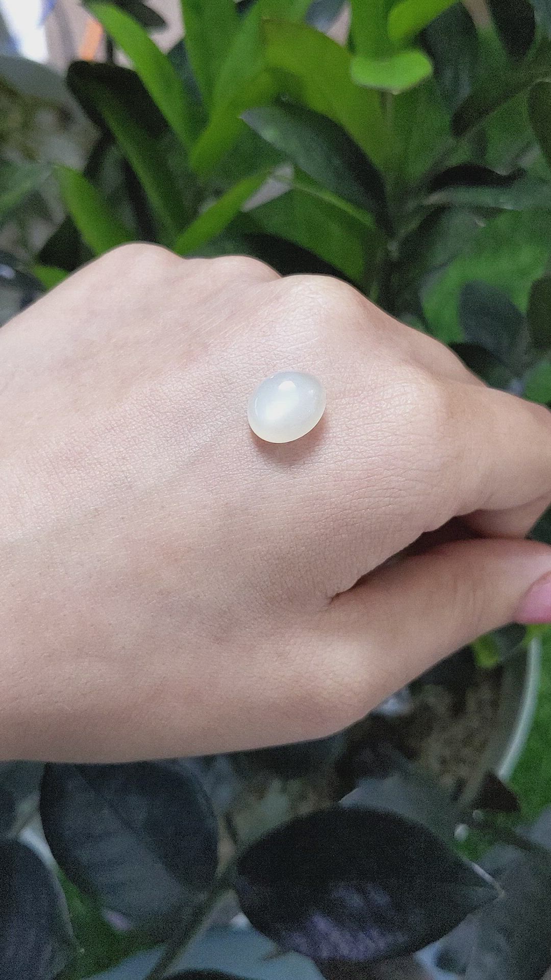5.58 Ct. Cabochon Moonstone from Ceylon (Sri Lanka) Size Video