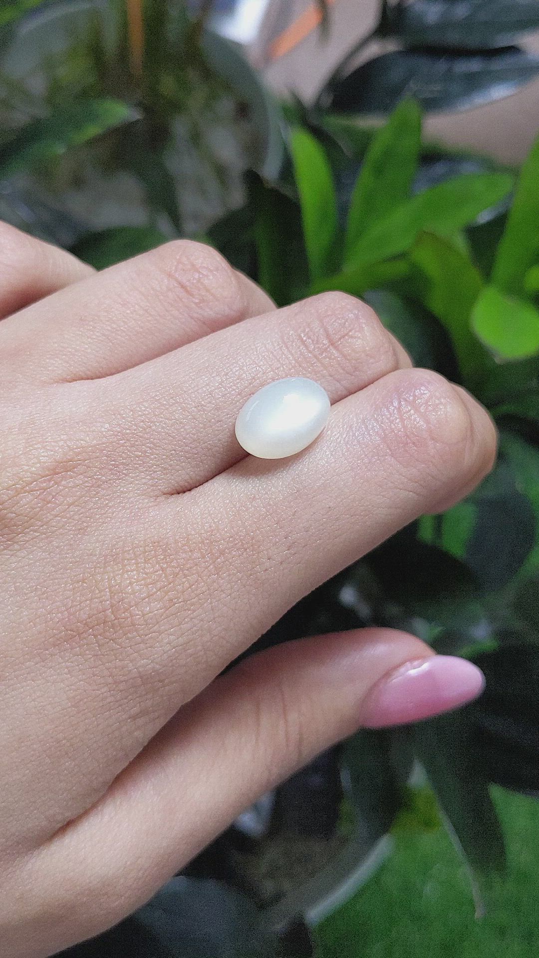 6.65 Ct. Cabochon Moonstone from Ceylon (Sri Lanka) Size Video