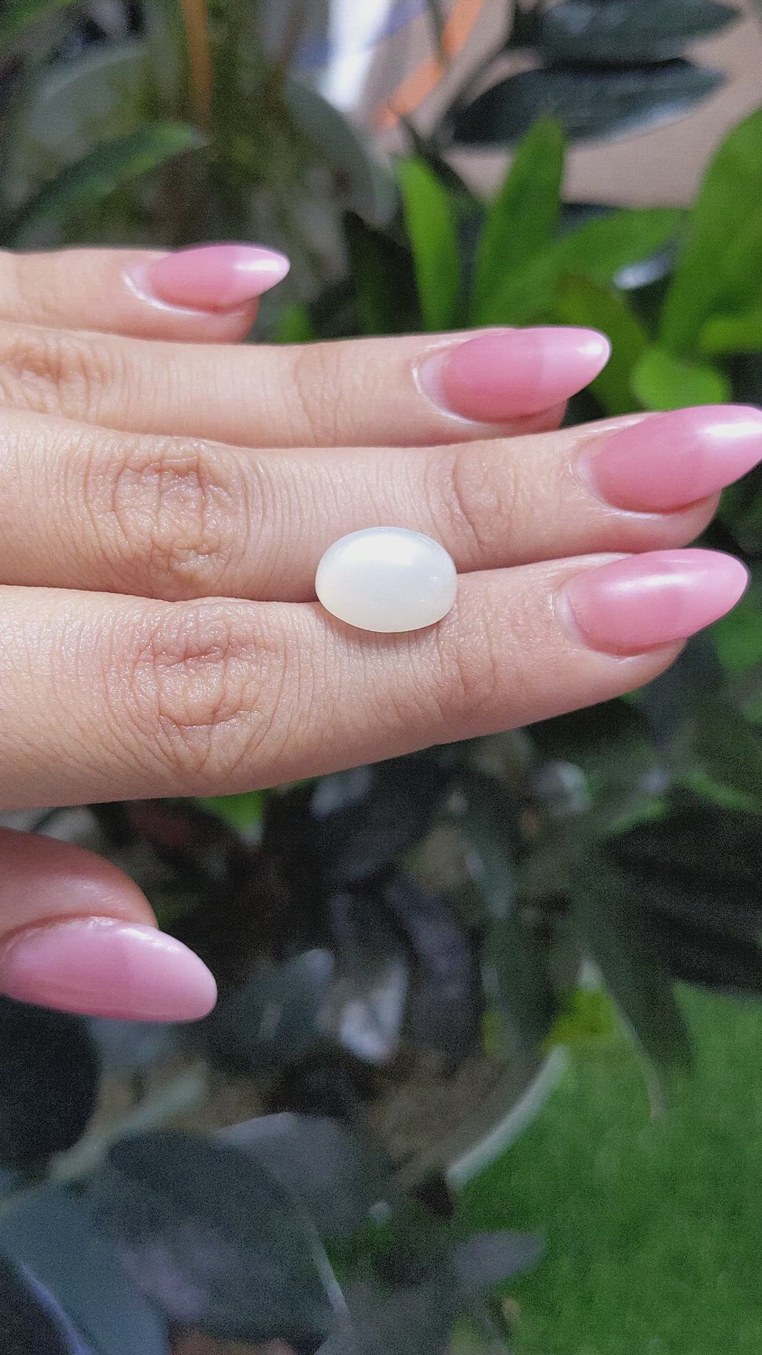 6.65 Ct. Cabochon Moonstone from Ceylon (Sri Lanka) Size Video