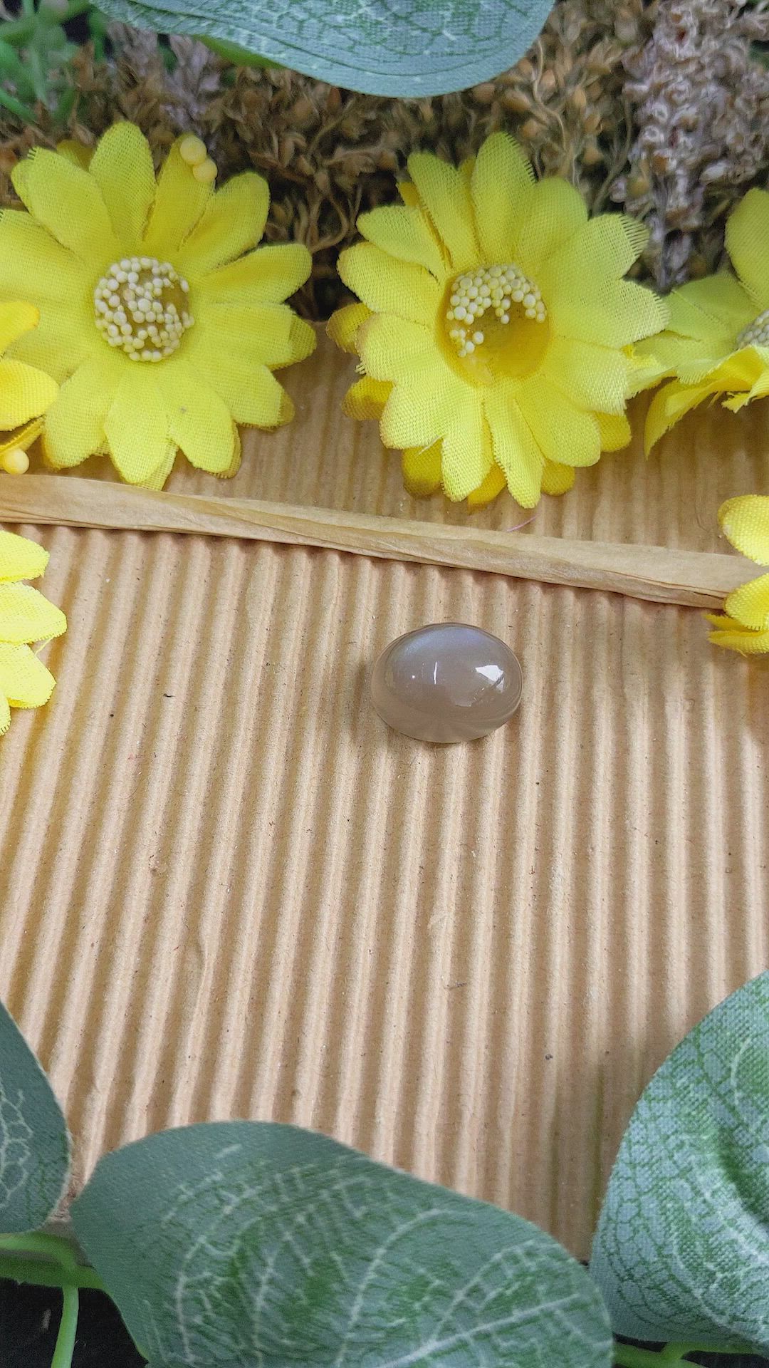 11.54 Ct. Cabochon Moonstone from Ceylon (Sri Lanka) Size Video
