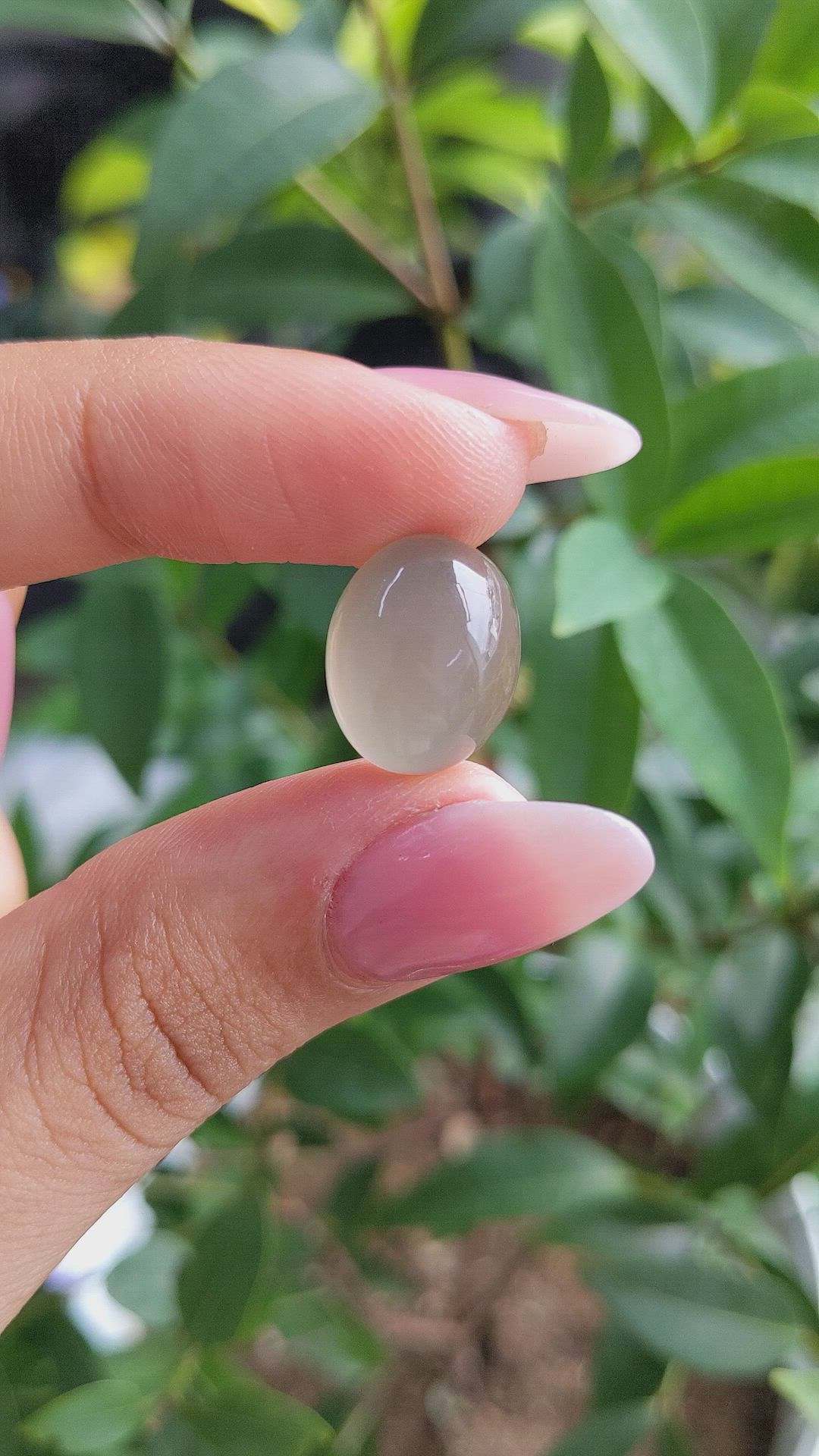 11.54 Ct. Cabochon Moonstone from Ceylon (Sri Lanka) Size Video