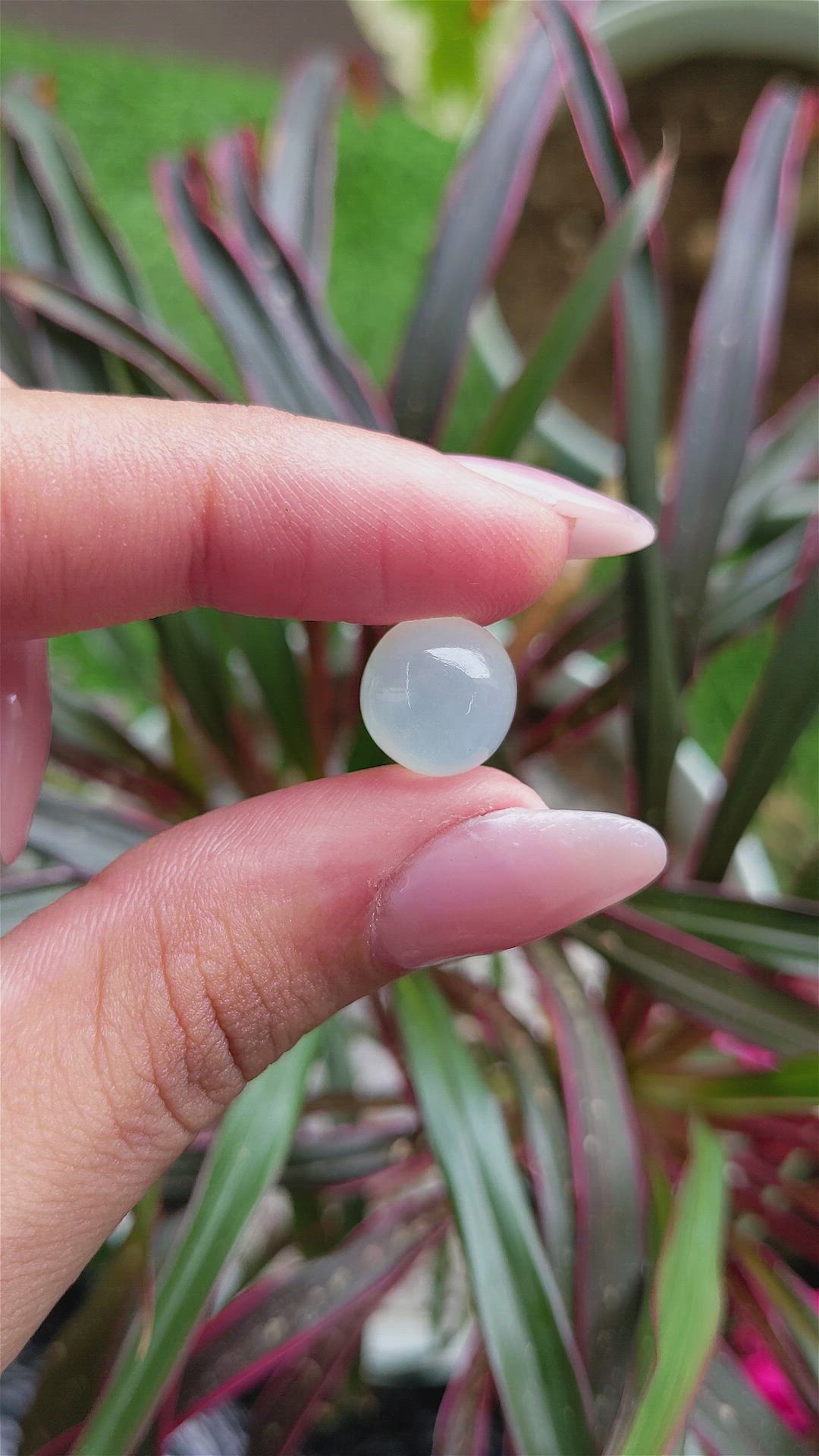 7.79 Ct. Cabochon Moonstone from Ceylon (Sri Lanka) Size Video