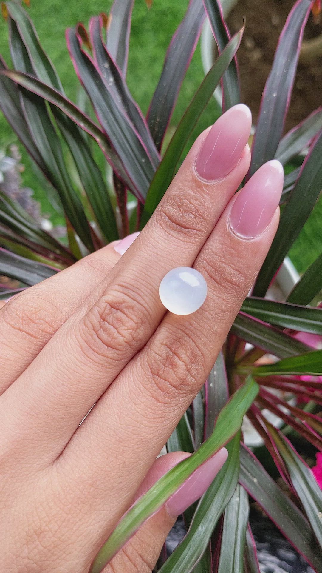 7.79 Ct. Cabochon Moonstone from Ceylon (Sri Lanka) Size Video