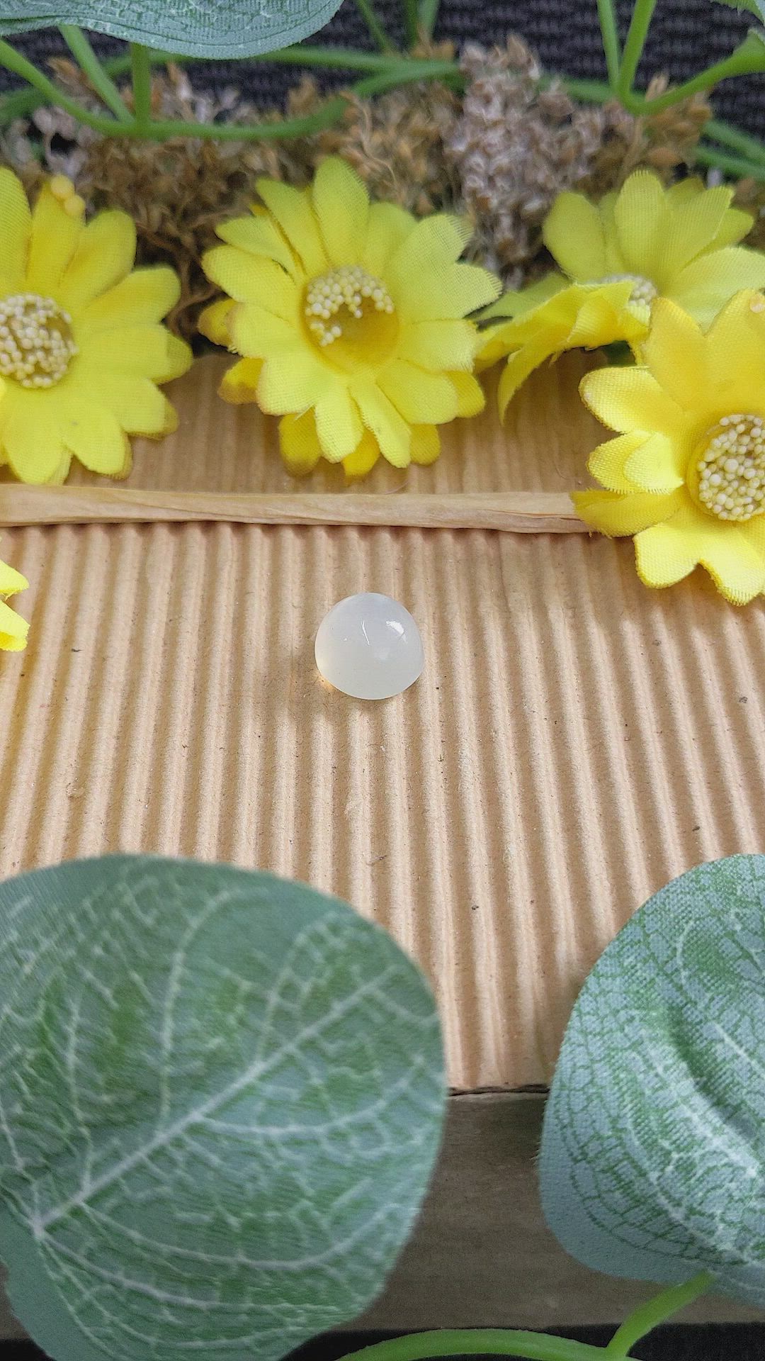 7.79 Ct. Cabochon Moonstone from Ceylon (Sri Lanka) Size Video