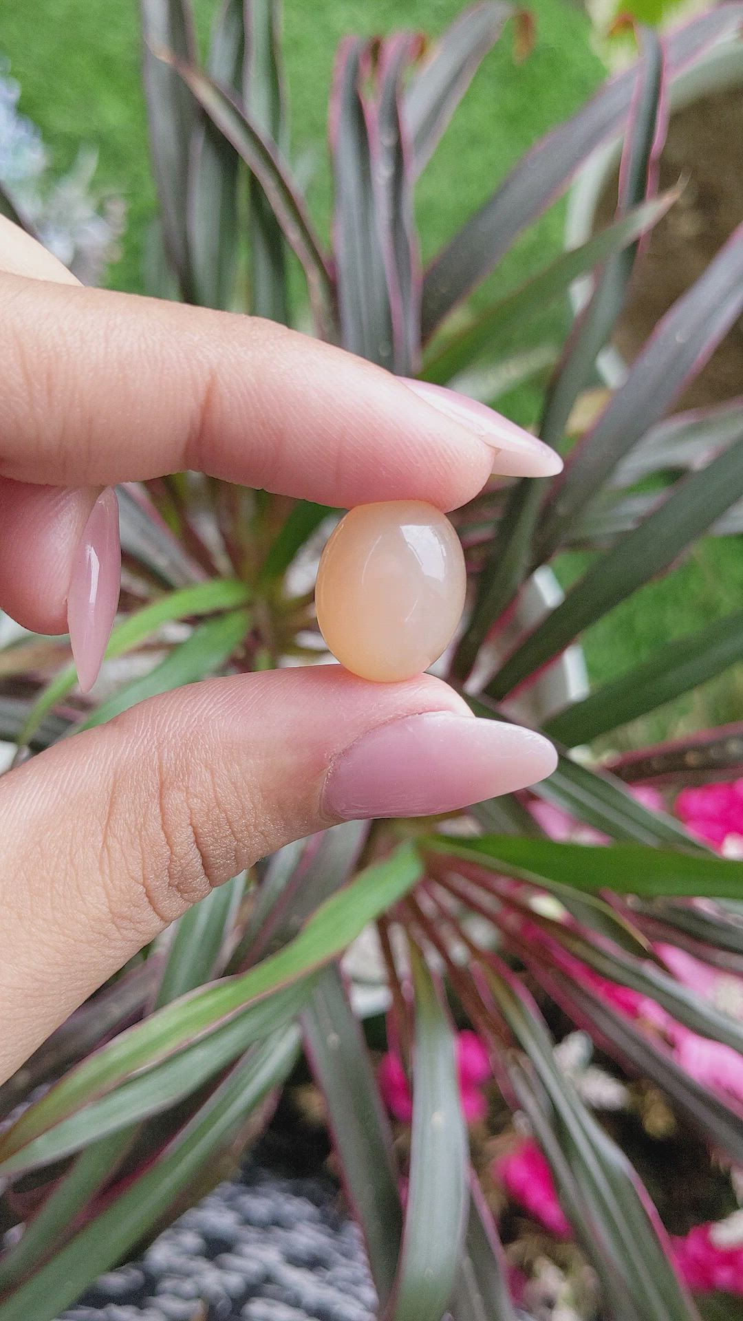 14.40 Ct. Cabochon Moonstone from Ceylon (Sri Lanka) Size Video
