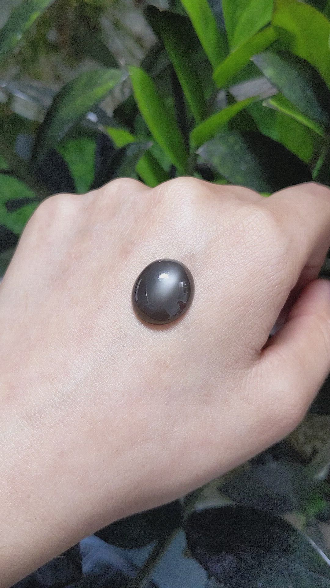 11.66 Ct. Cabochon Moonstone from Ceylon (Sri Lanka) Size Video
