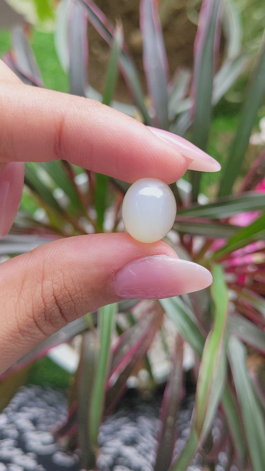 12.53 Ct. Cabochon Moonstone from Ceylon (Sri Lanka) Size Video