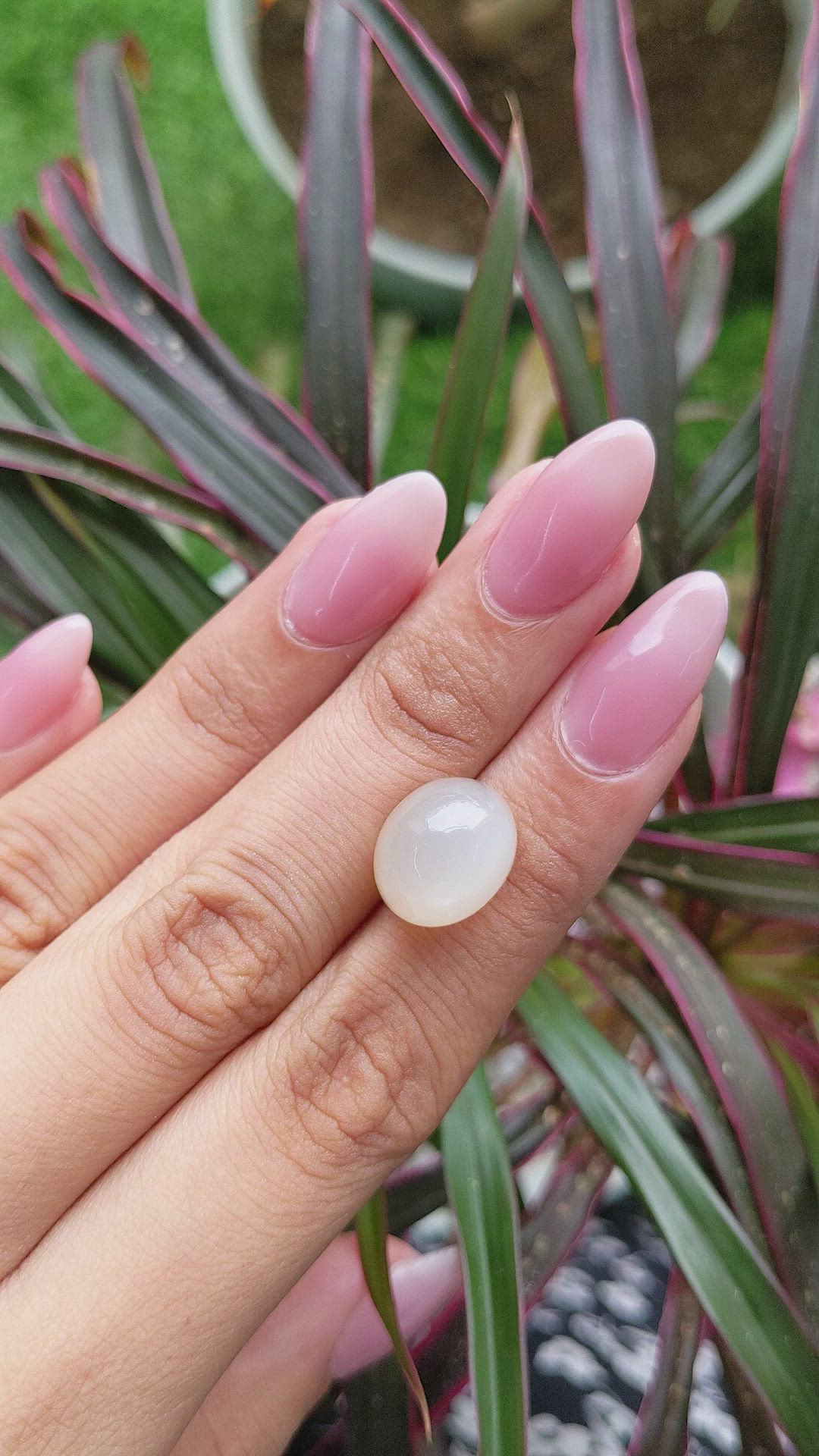 12.53 Ct. Cabochon Moonstone from Ceylon (Sri Lanka) Size Video