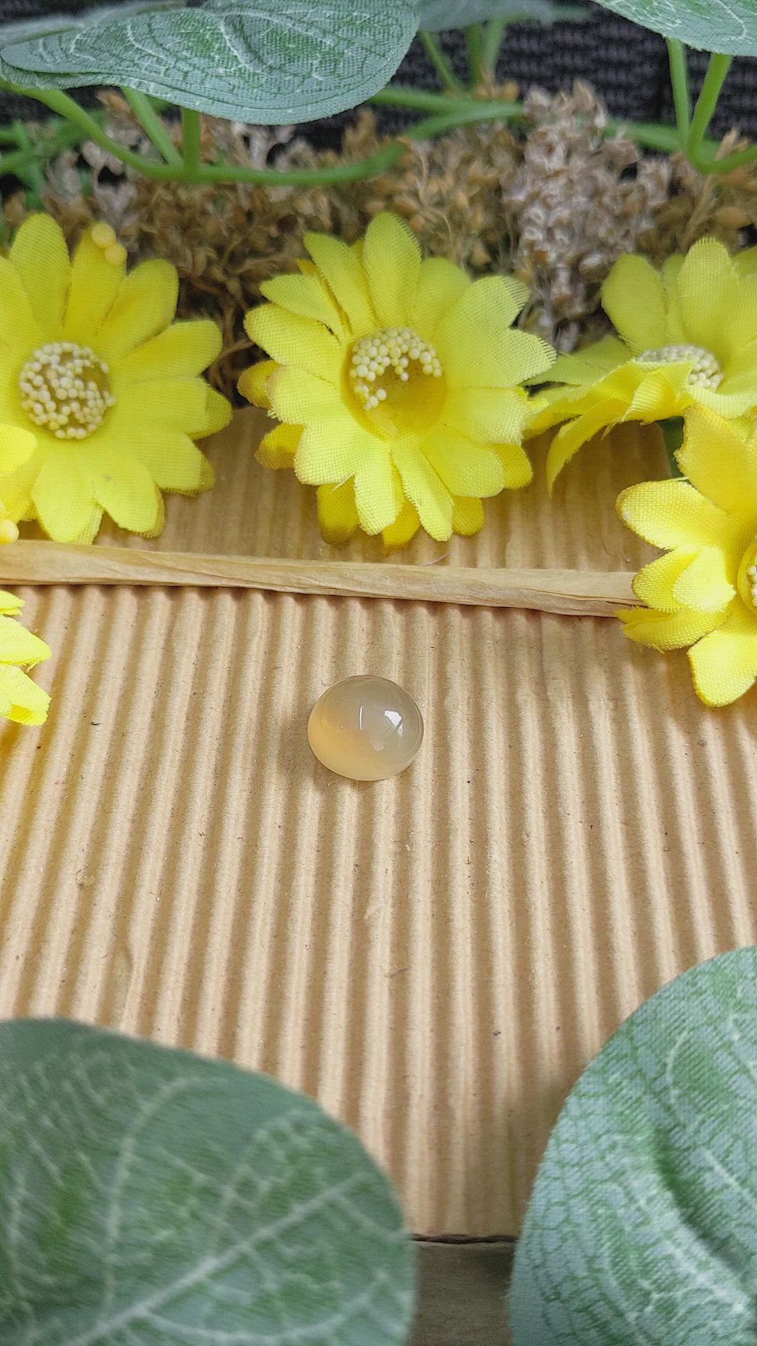 6.21 Ct. Cabochon Moonstone from Ceylon (Sri Lanka) Size Video