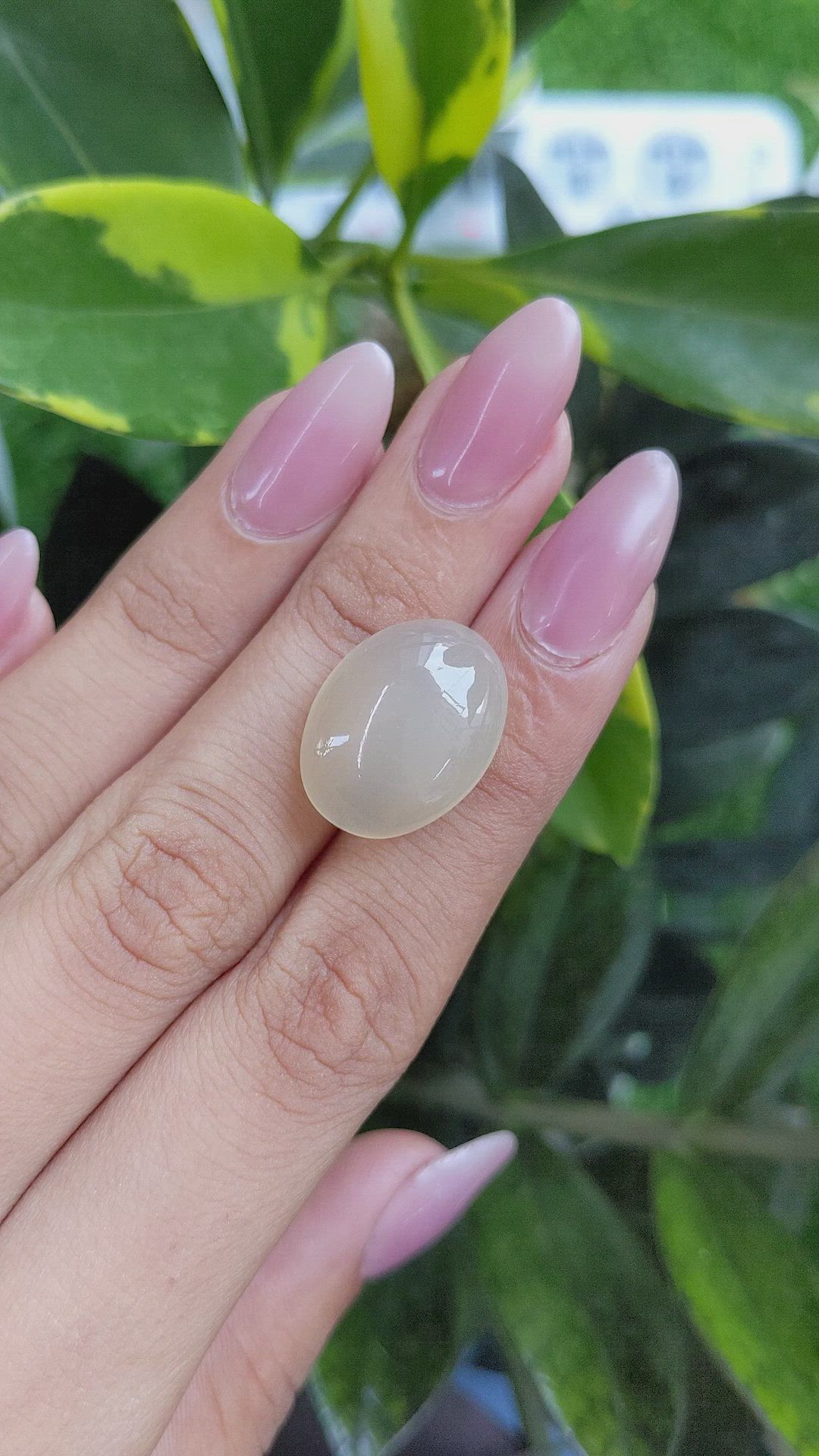 22.08 Ct. Cabochon Moonstone from Ceylon (Sri Lanka) Size Video