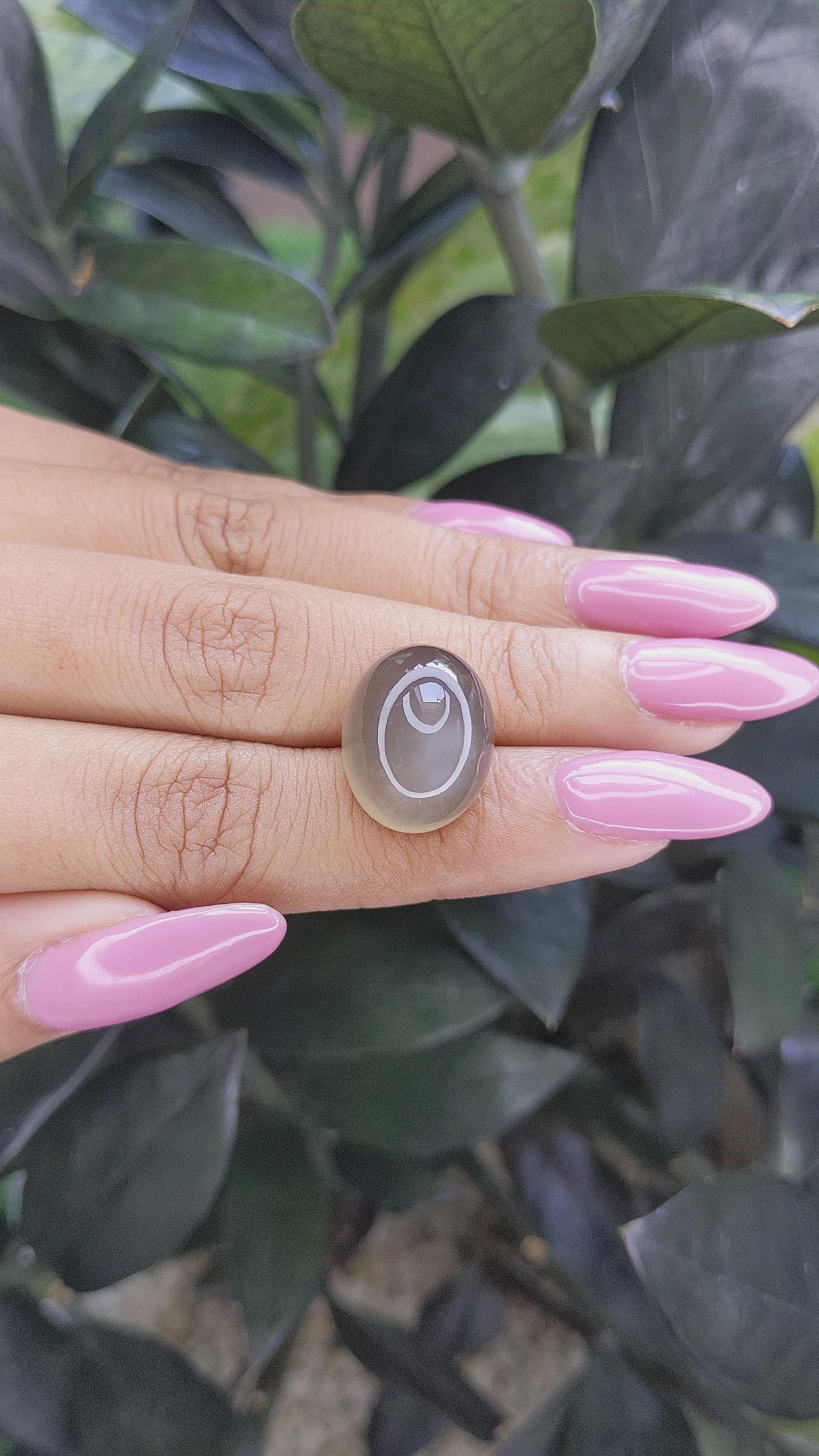 16.28 Ct. Cabochon Moonstone from Ceylon (Sri Lanka) Size Video
