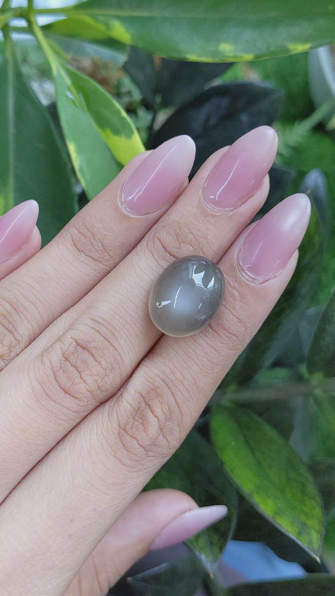 16.28 Ct. Cabochon Moonstone from Ceylon (Sri Lanka) Size Video