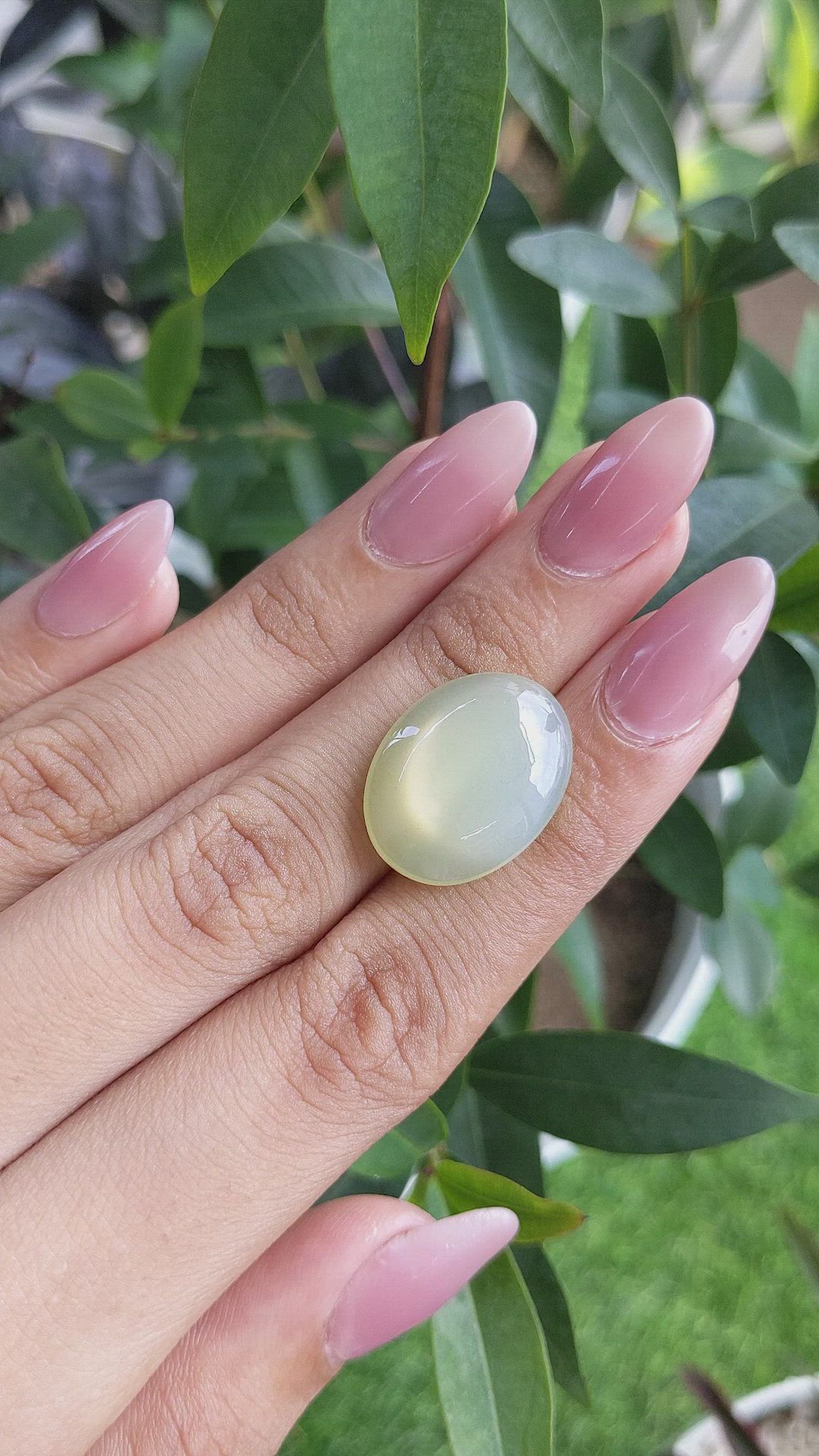 14.57 Ct. Cabochon Moonstone from Ceylon (Sri Lanka) Size Video