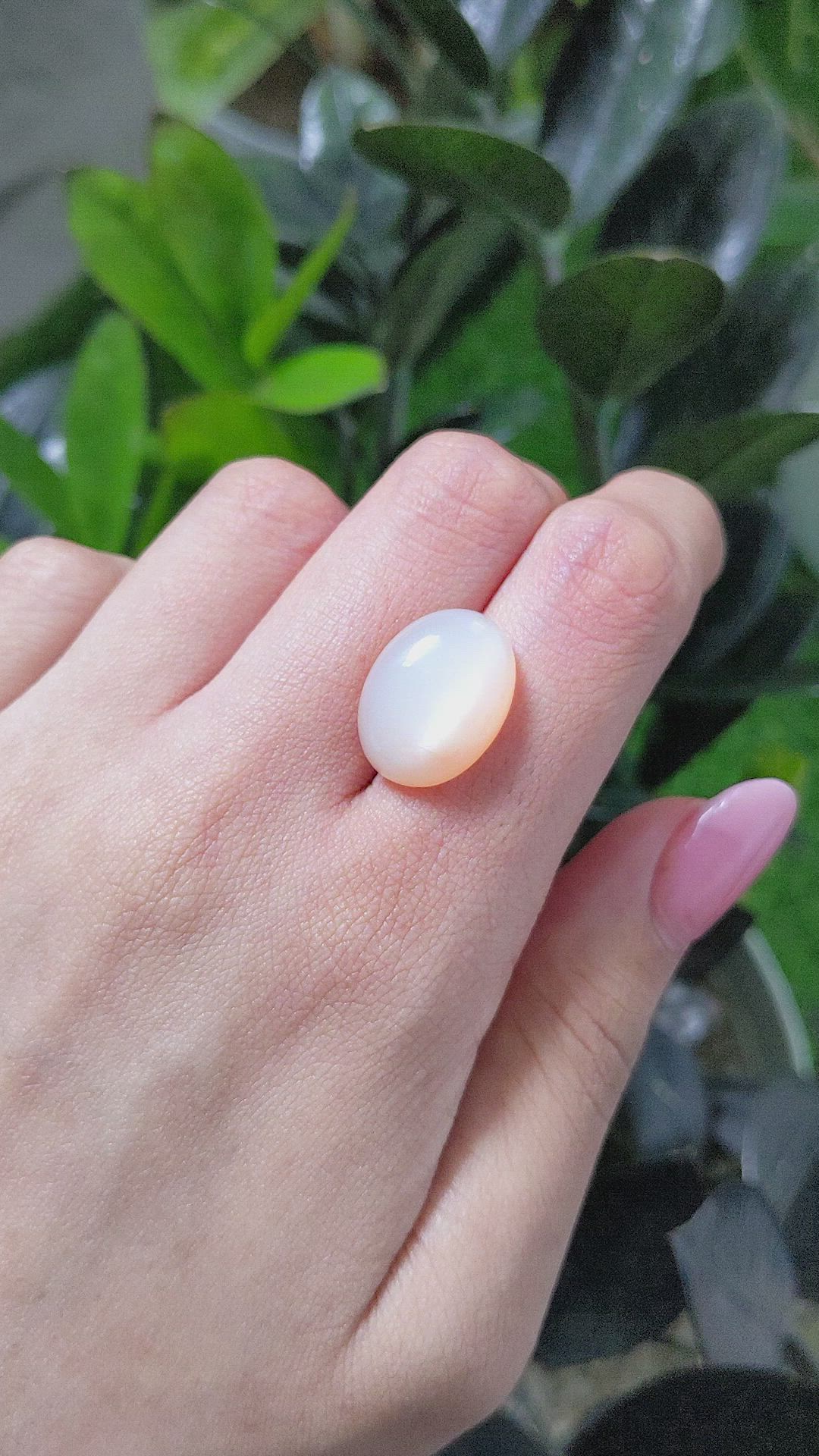 13.58 Ct. Cabochon Moonstone from Ceylon (Sri Lanka) Size Video
