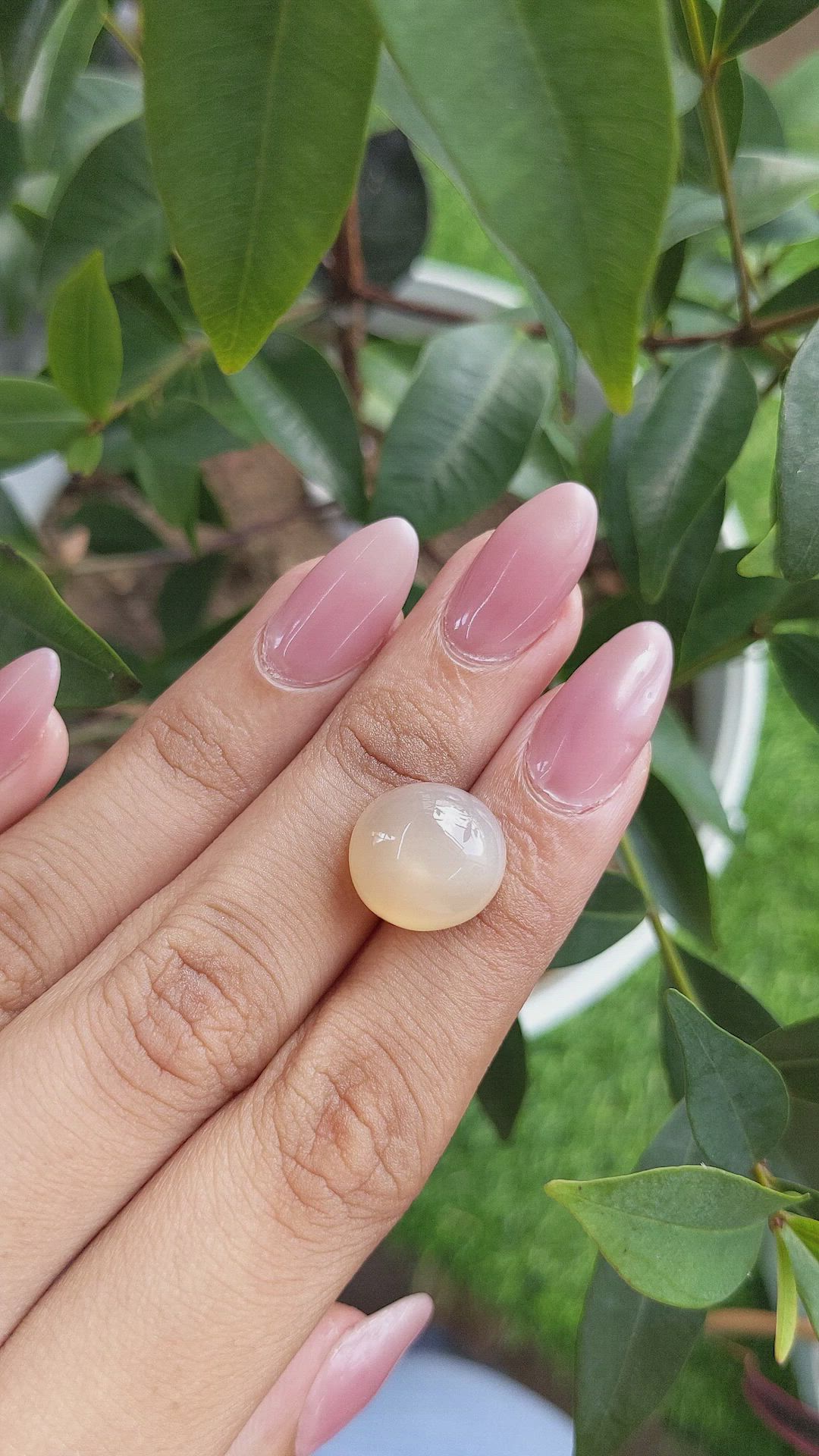 13.44 Ct. Cabochon Moonstone from Ceylon (Sri Lanka) Size Video
