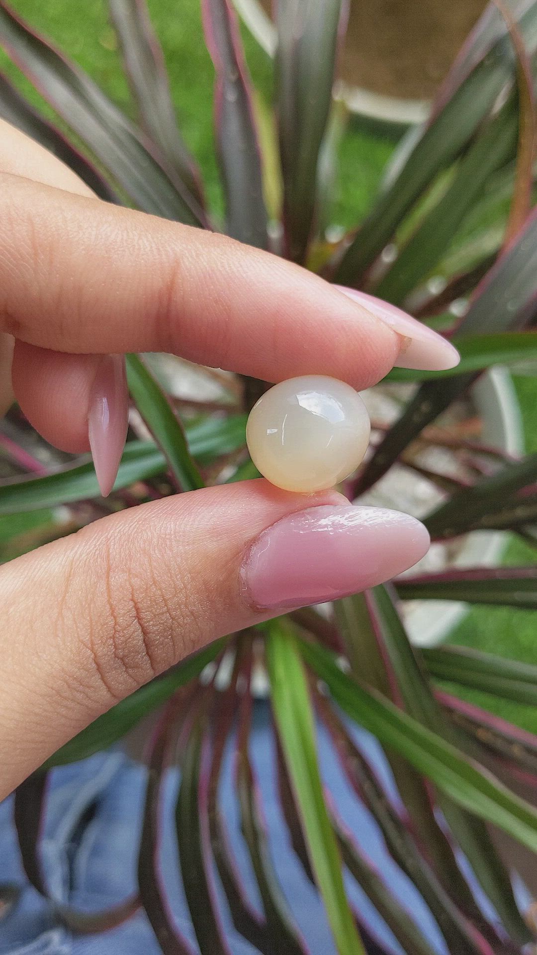 13.44 Ct. Cabochon Moonstone from Ceylon (Sri Lanka) Size Video