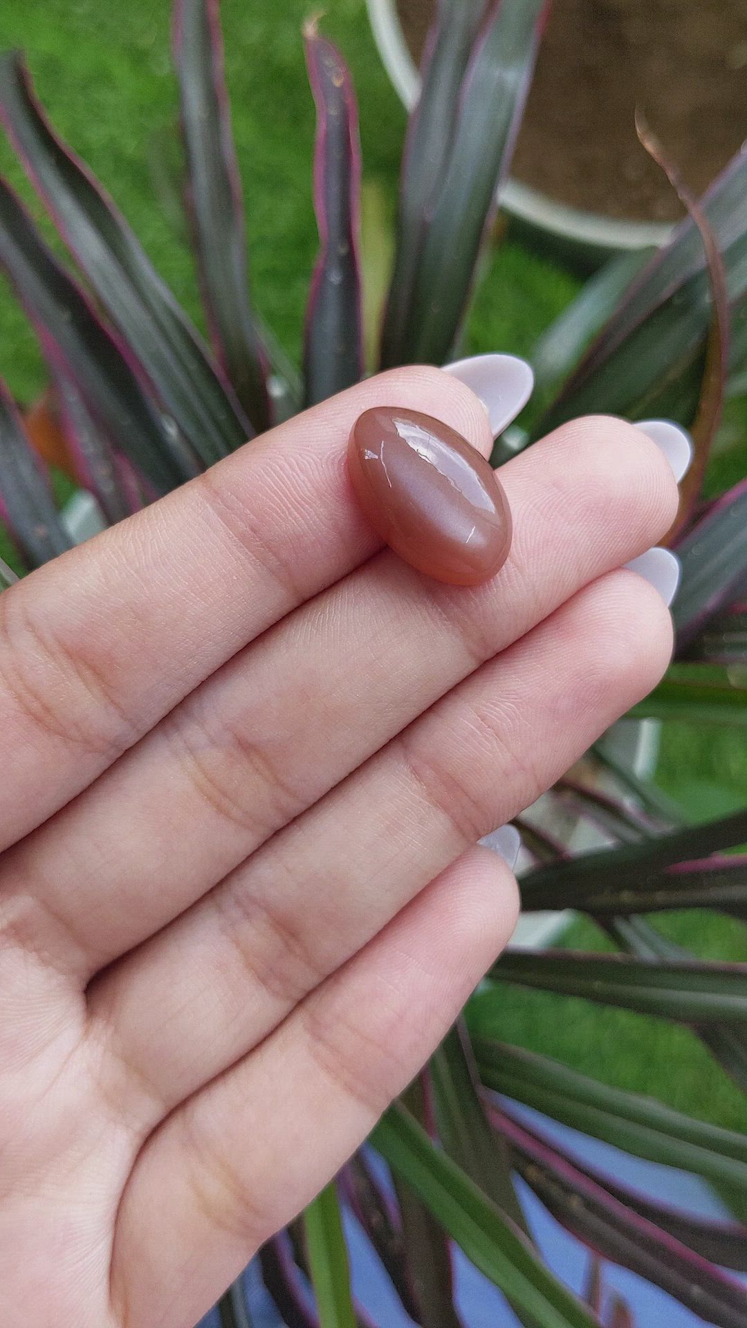 11.61 Ct. Cabochon Moonstone from Ceylon (Sri Lanka) Size Video