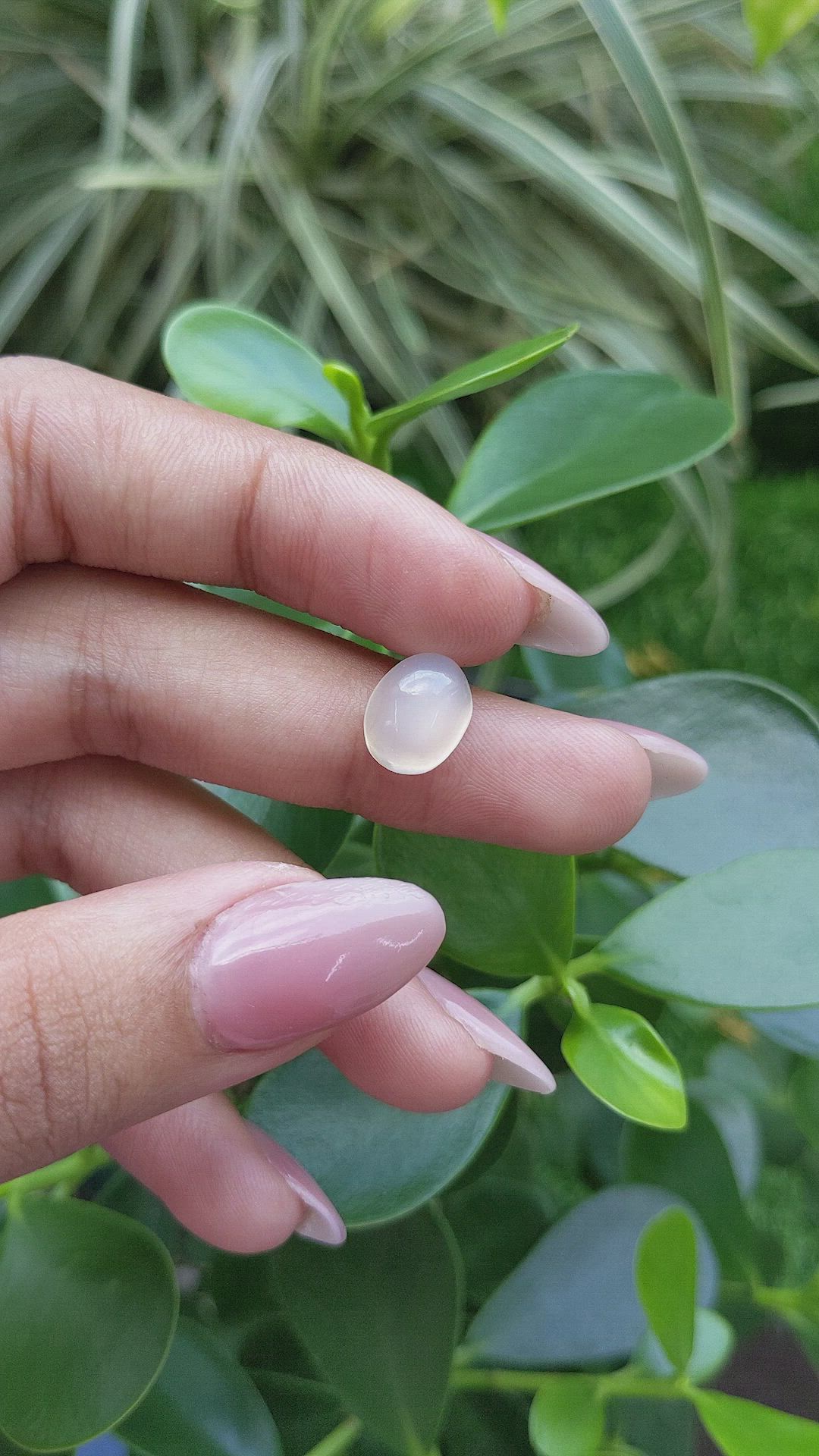 4.12 Ct. Cabochon Moonstone from Ceylon (Sri Lanka) Size Video