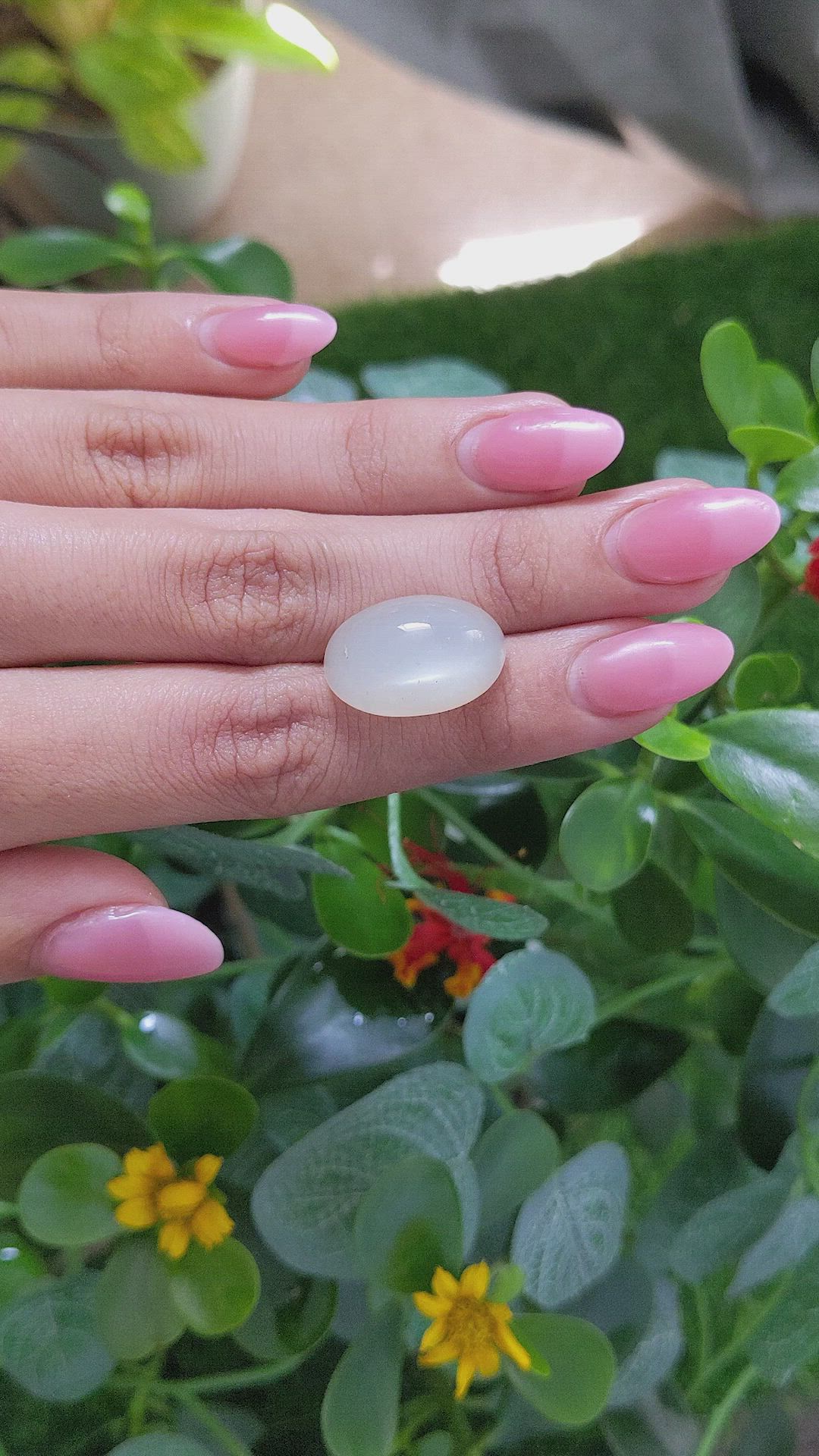 20.86 Ct. Cabochon Moonstone from Ceylon (Sri Lanka) Size Video