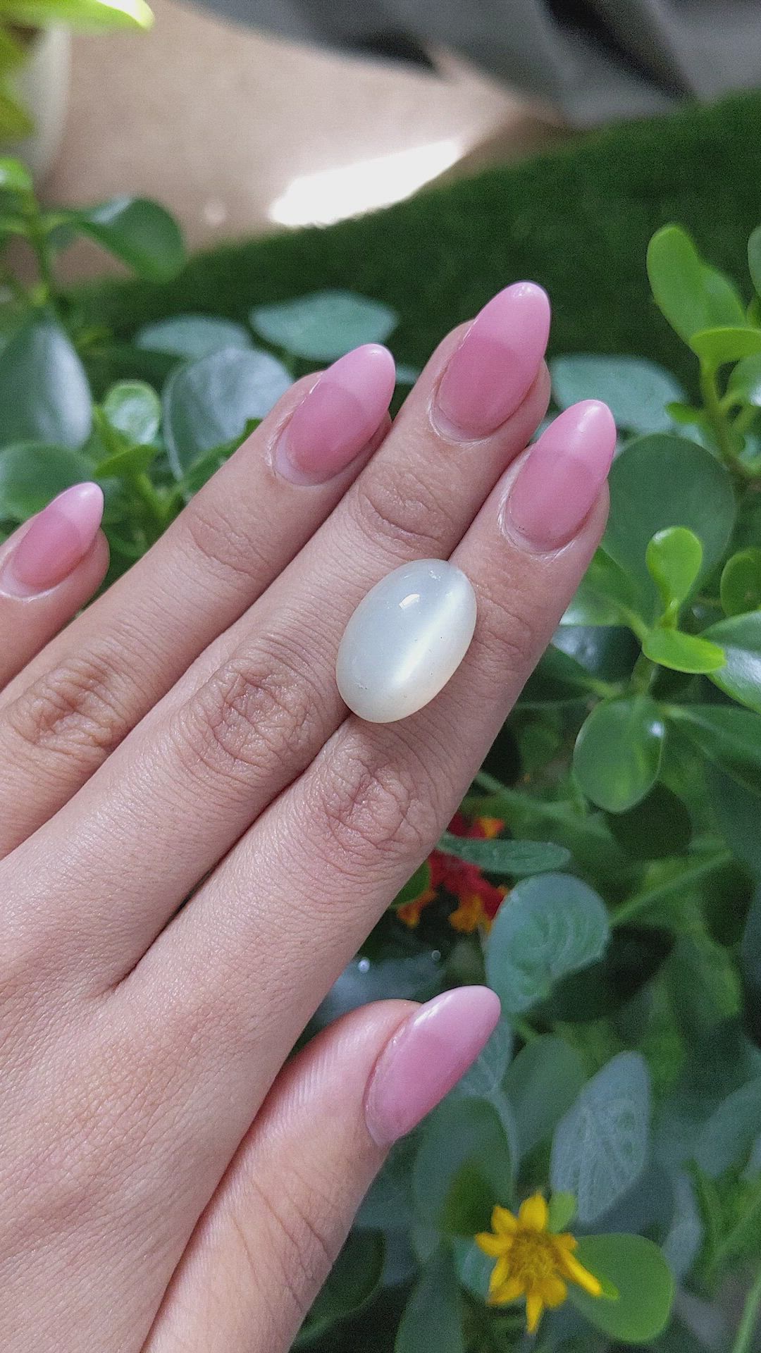 20.86 Ct. Cabochon Moonstone from Ceylon (Sri Lanka) Size Video
