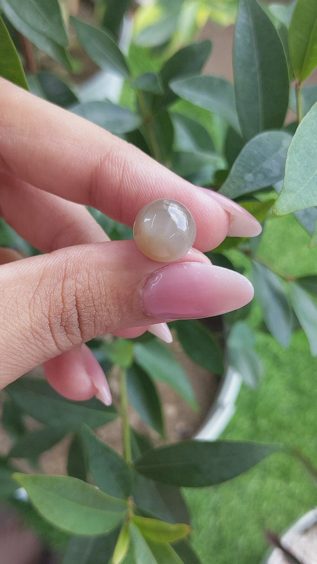 8.23 Ct. Cabochon Moonstone from Ceylon (Sri Lanka) Size Video