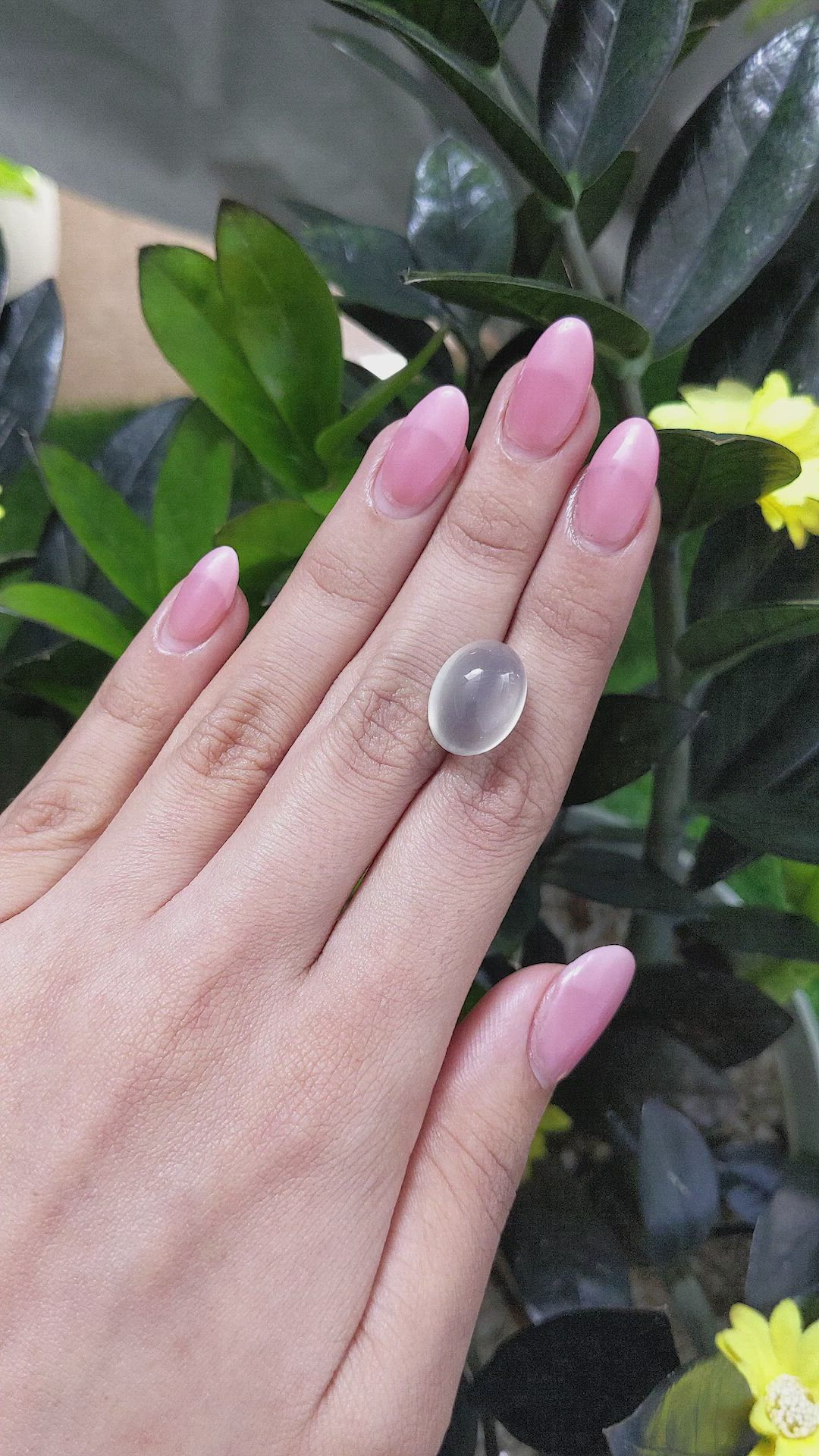 11.73 Ct. Cabochon Moonstone from Ceylon (Sri Lanka) Size Video