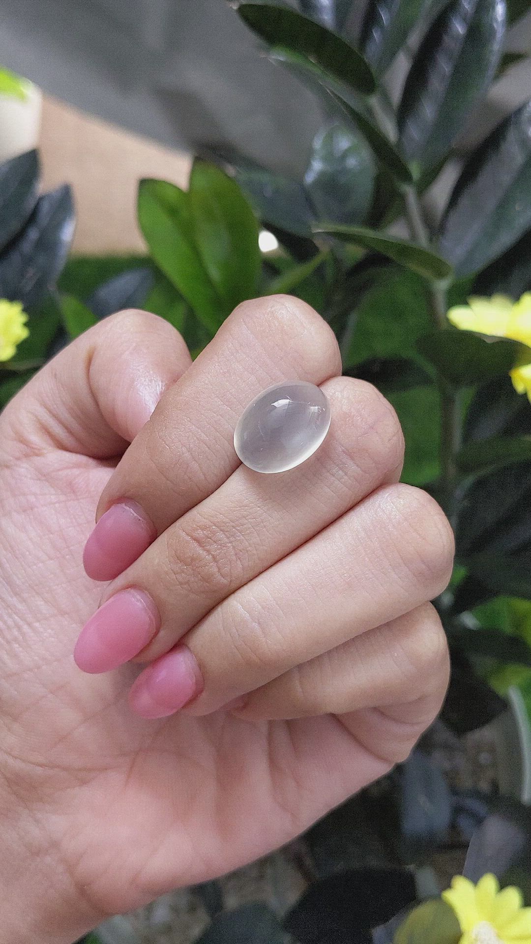 11.73 Ct. Cabochon Moonstone from Ceylon (Sri Lanka) Size Video